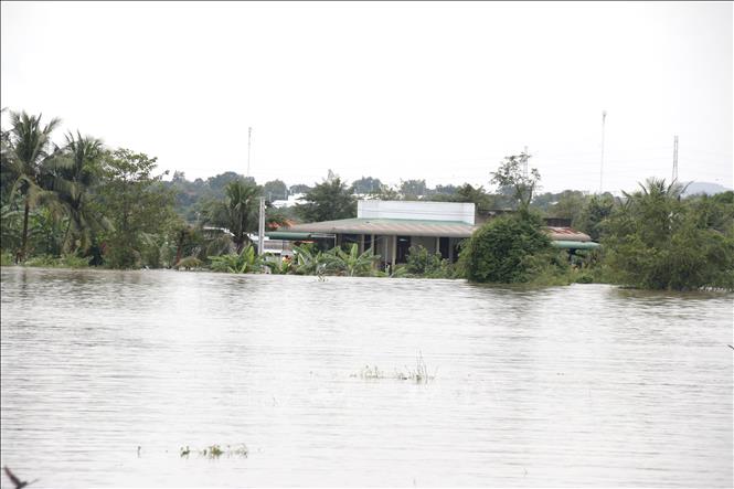 Hàng trăm hộ dân tại xã Hàm Thuận (Lâm Đồng) bị ngập sâu trong nước lũ 