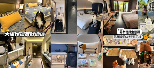 Khách sạn, nơi lưu trú cho thú cưng