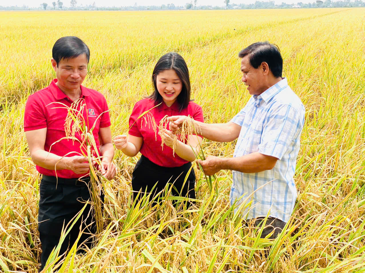 Sản xuất nông nghiệp là thế mạnh của Cần Thơ