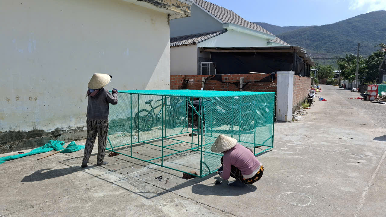 Người dân phường Sông Cầu làm lồng nuôi tôm hùm vụ mới- Ảnh: Mạnh Hoài Nam