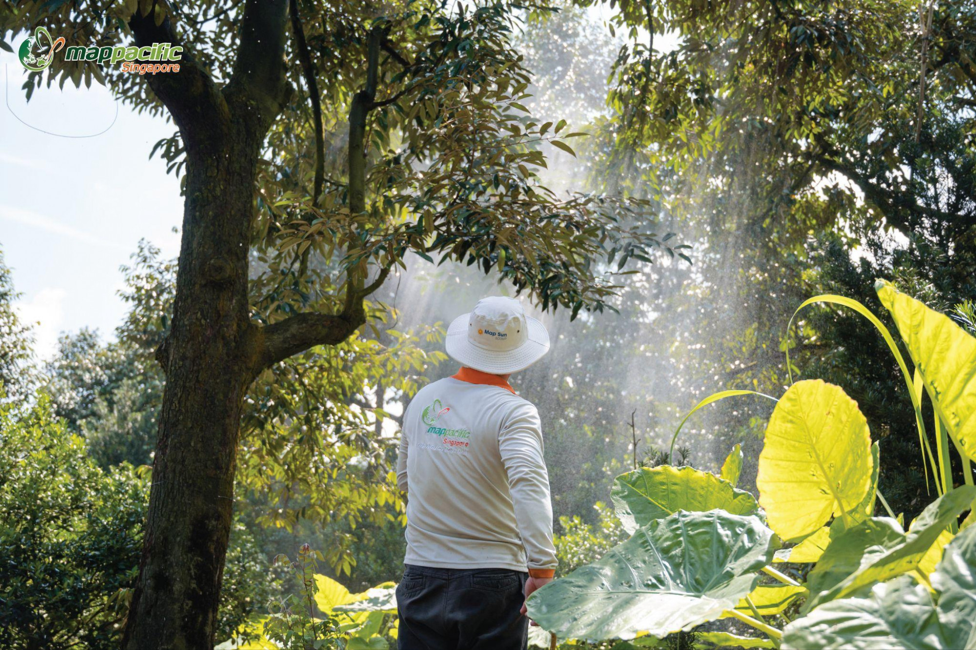 Map Pacific Singapore kiên định với mục tiêu đồng hành cùng nông dân vì một nền nông nghiệp xanh, bền vững