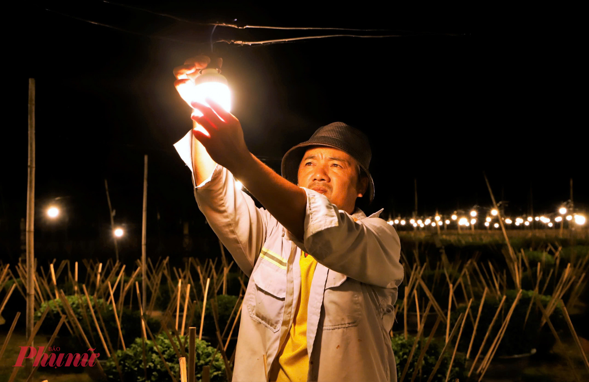 Là người trồng cúc lâu năm, anh Thái Văn Tín (40 tuổi) cho biết, làng hoa Kiên Long tuy chịu ảnh hưởng nhưng vẫn nhẹ hơn nhiều nơi khác. Với số hoa bị hư hại, gia đình anh đã thuê người trồng dặm, đồng thời tăng cường chăm sóc. 