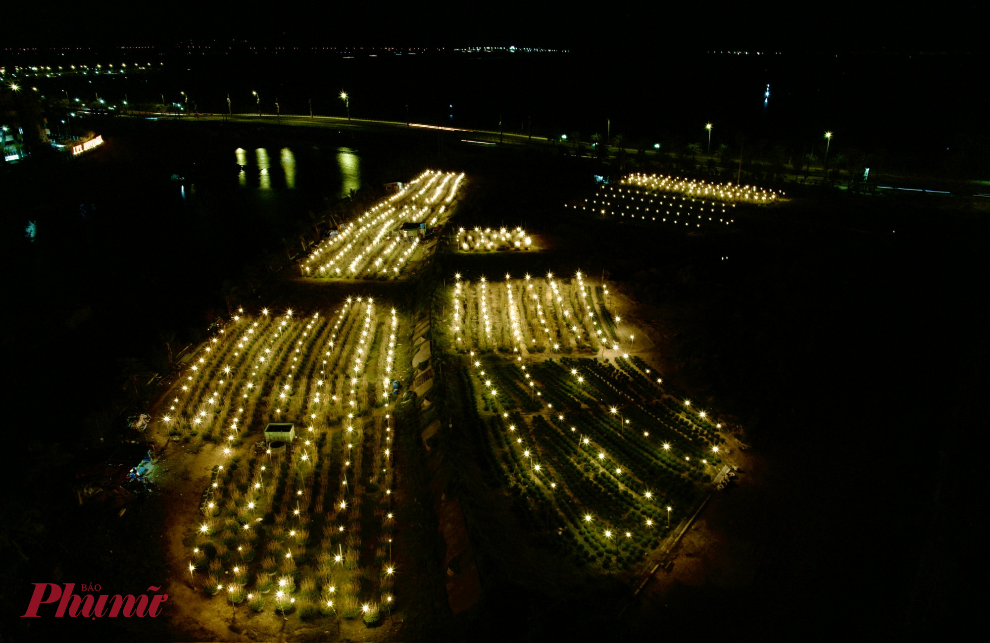 Nhìn từ trên cao, những vạt hoa sáng lấp lánh như dải sao lặng lẽ tô điểm cho vùng quê yên bình - Ảnh: N.G.