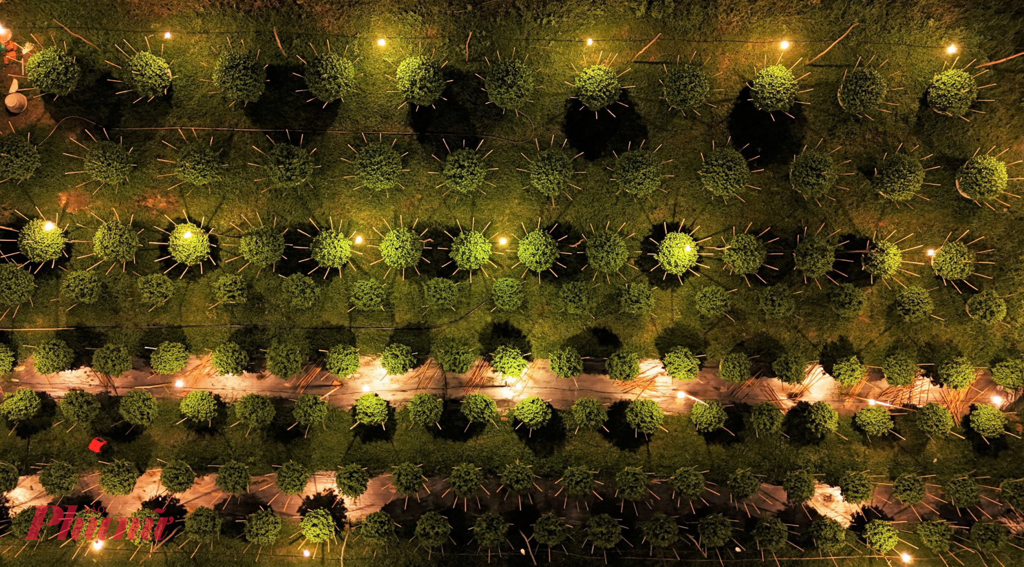 Dù đối diện với nhiều khó khăn, vất vả, bà con Kiên Long vẫn kiên trì chăm sóc từng chậu hoa để gửi gắm niềm hy vọng về một cái Tết ấm no, đủ đầy. 