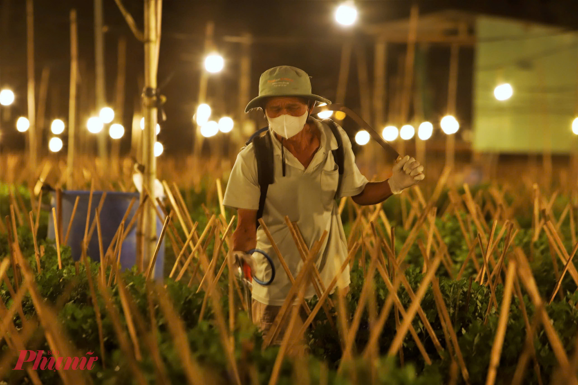 Những ngày này, đặt chân đến làng hoa cúc Kiên Long (xã Bình Thành, tỉnh Gia Lai), dễ dàng bắt gặp hình ảnh những người nông dân tất bật dọn dẹp tàn dư sau bão lũ, đồng thời chăm sóc đặc biệt cho hàng nghìn chậu hoa Tết. 