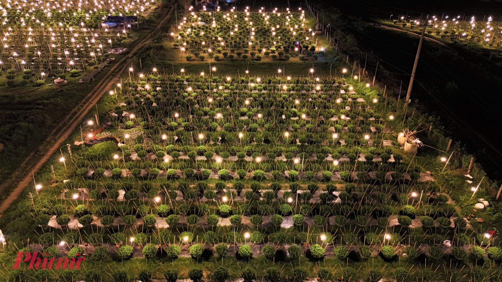 Được biết, toàn thôn Kiên Long hiện có khoảng 10 ha trồng cúc, là nguồn thu nhập quan trọng của nhiều hộ dân.