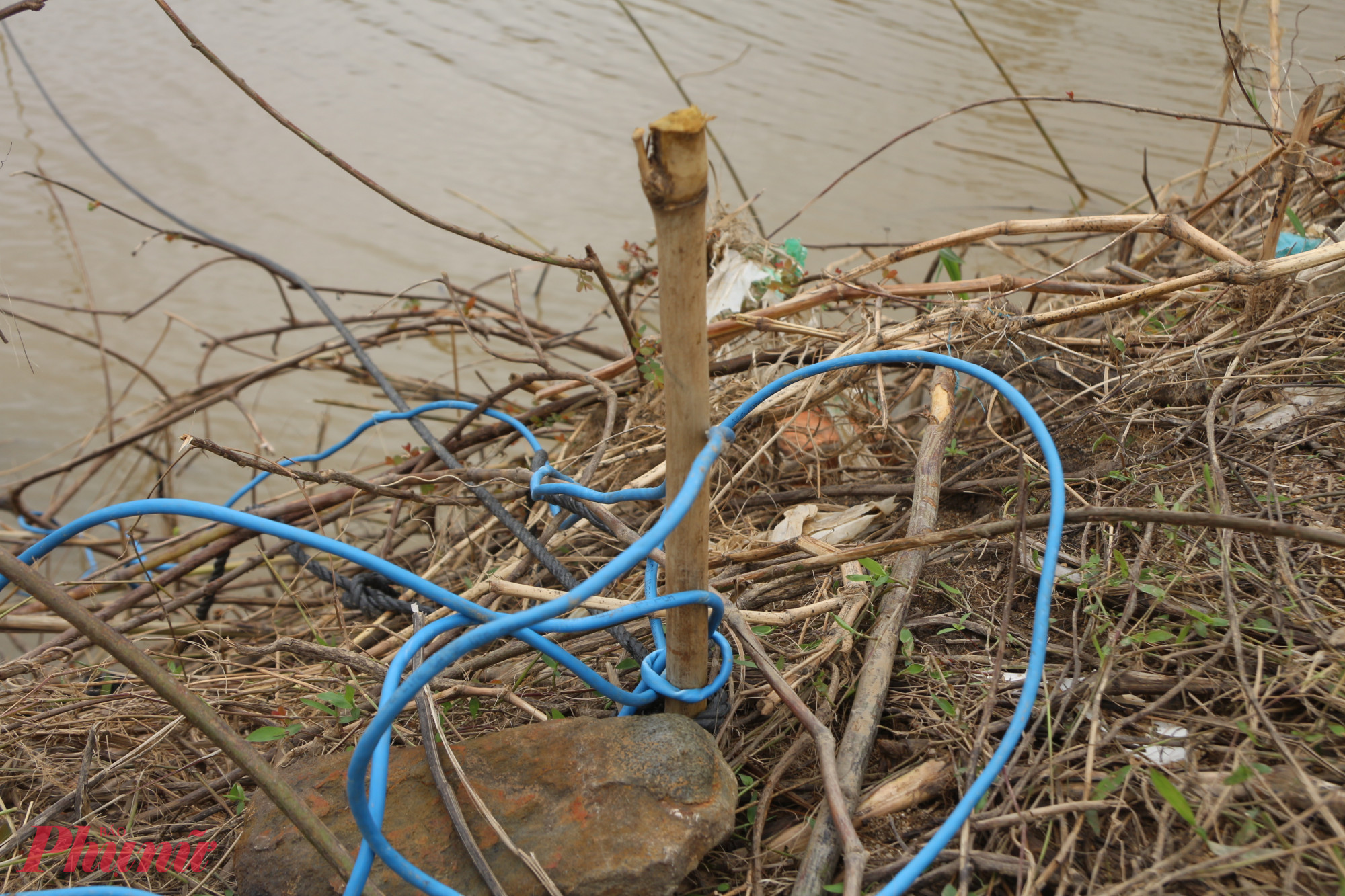 Dây dựng được cột tạm bợ vào cây khô hai đầu điểm sạt lở