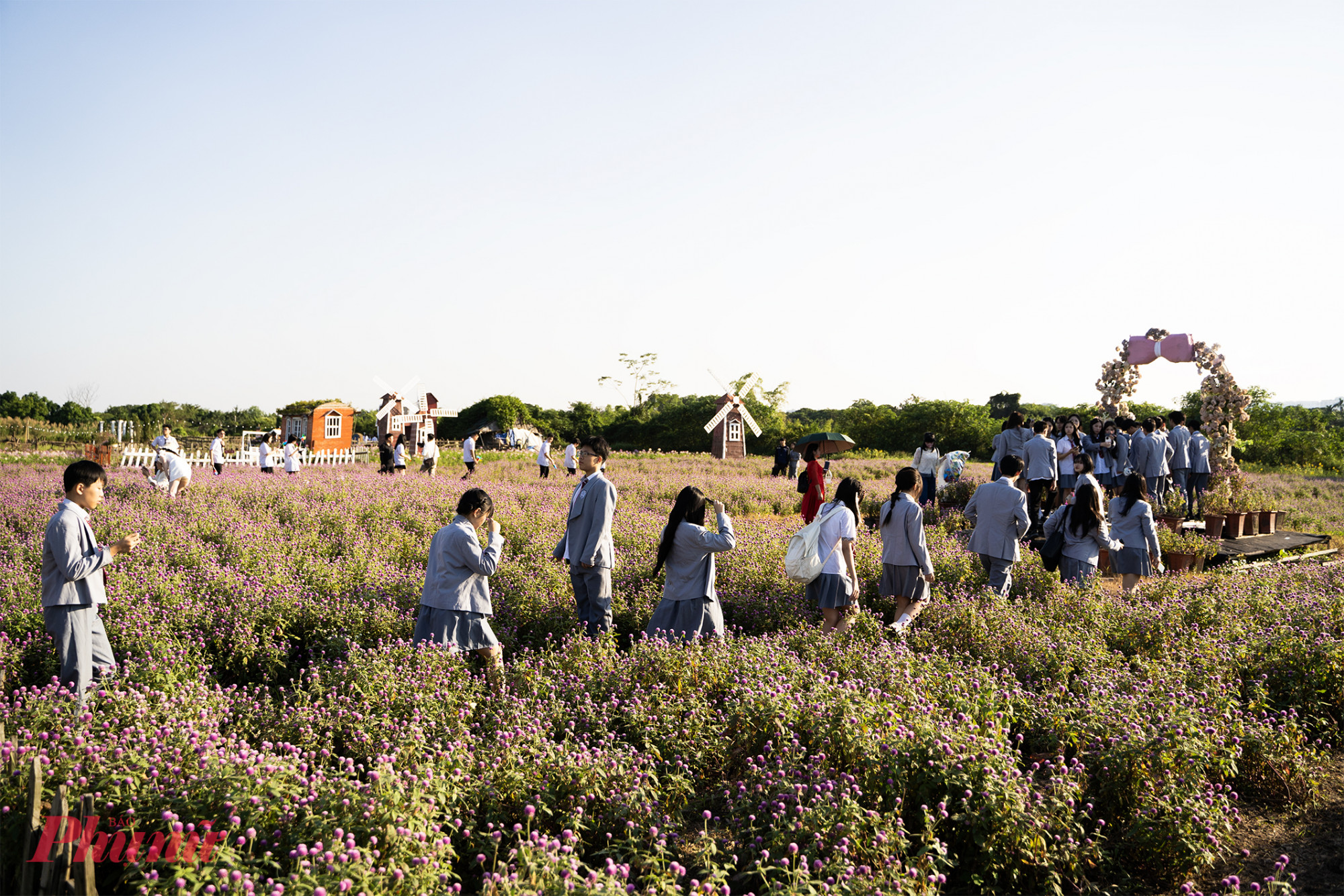 Đây là một trong những địa điểm thu hút giới trẻ đến vui chơi và chụp hình thời điểm đầu đông tại Hà Nội. Nhiều bạn trẻ cho biết có cảm giác như lạc vào xứ sở thần tiên bởi độ rộng và vẻ đẹp của vườn cúc bách nhật.