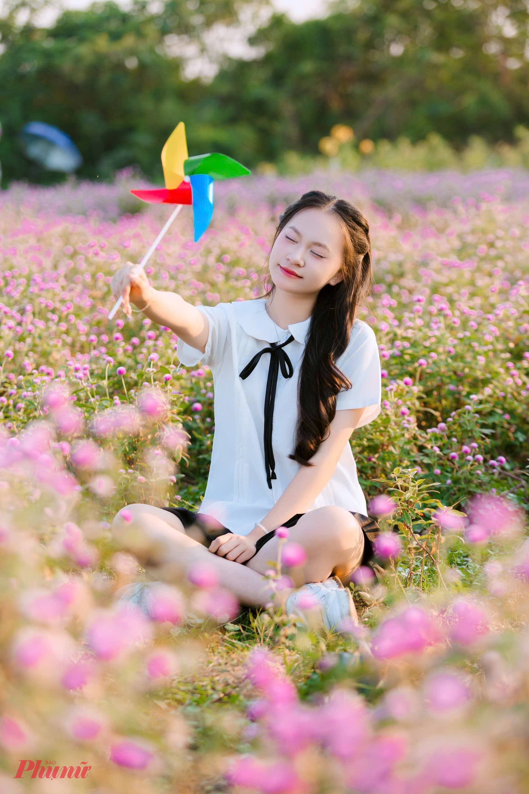 Mỗi cây cúc bách nhật có chiều cao từ 60 - 70cm, mật độ hoa dày nên du khách có nhiều góc chụp và dễ dàng tạo dáng chụp ảnh