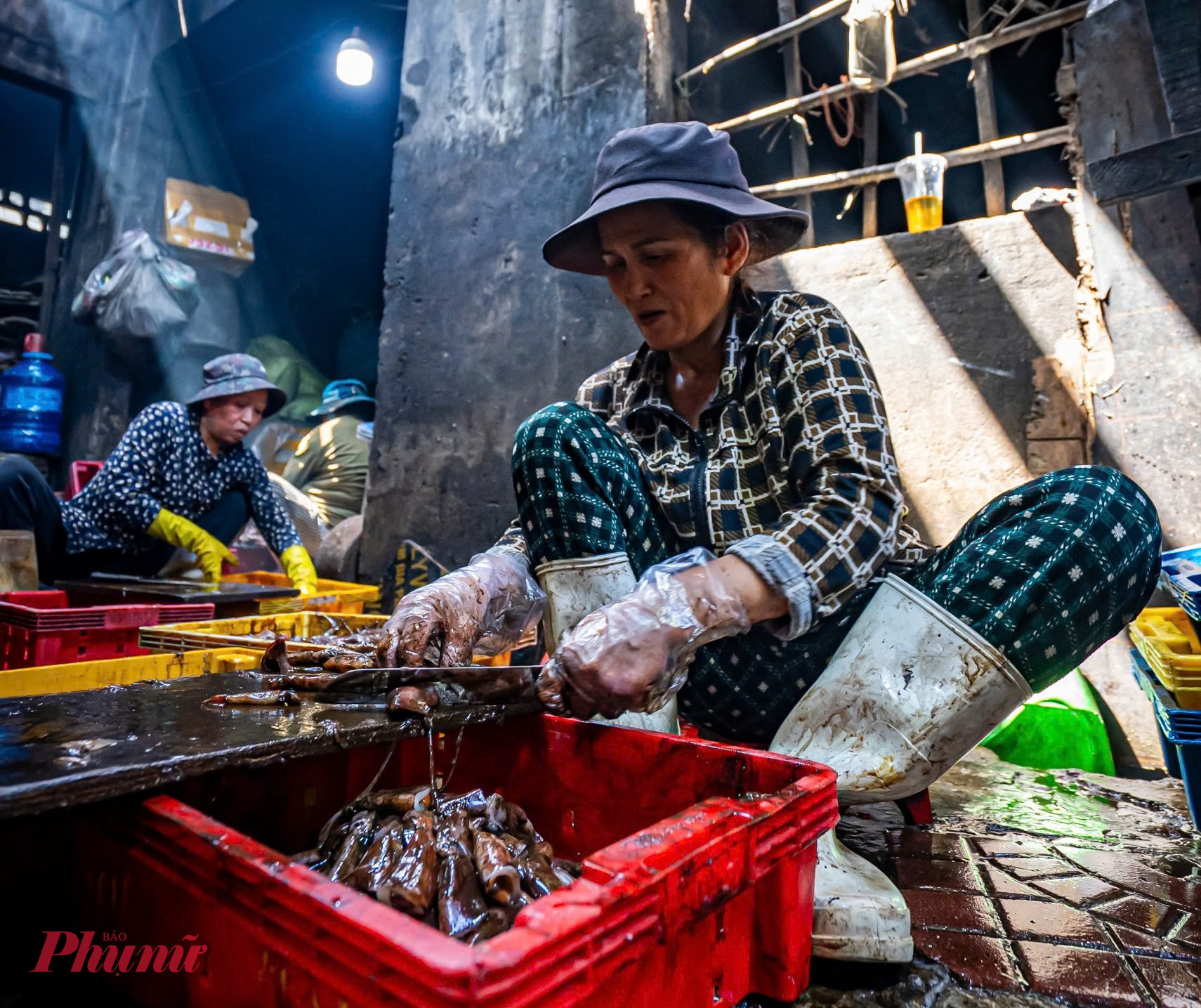 Khoảng 2–3 giờ sáng, khi những con tàu vừa cập bến, cảng cá Quy Nhơn (phường Quy Nhơn, tỉnh Gia Lai) đã rộn ràng tiếng người gọi nhau í ới. Những con cá, con mực còn tươi rói nhanh chóng được phân loại, sơ chế để kịp đưa vào lò hấp. 