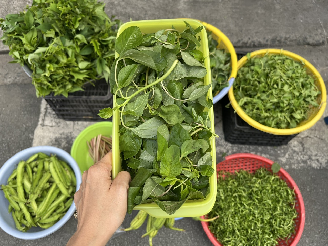 Đi chợ mua rau và đựng trong hộp