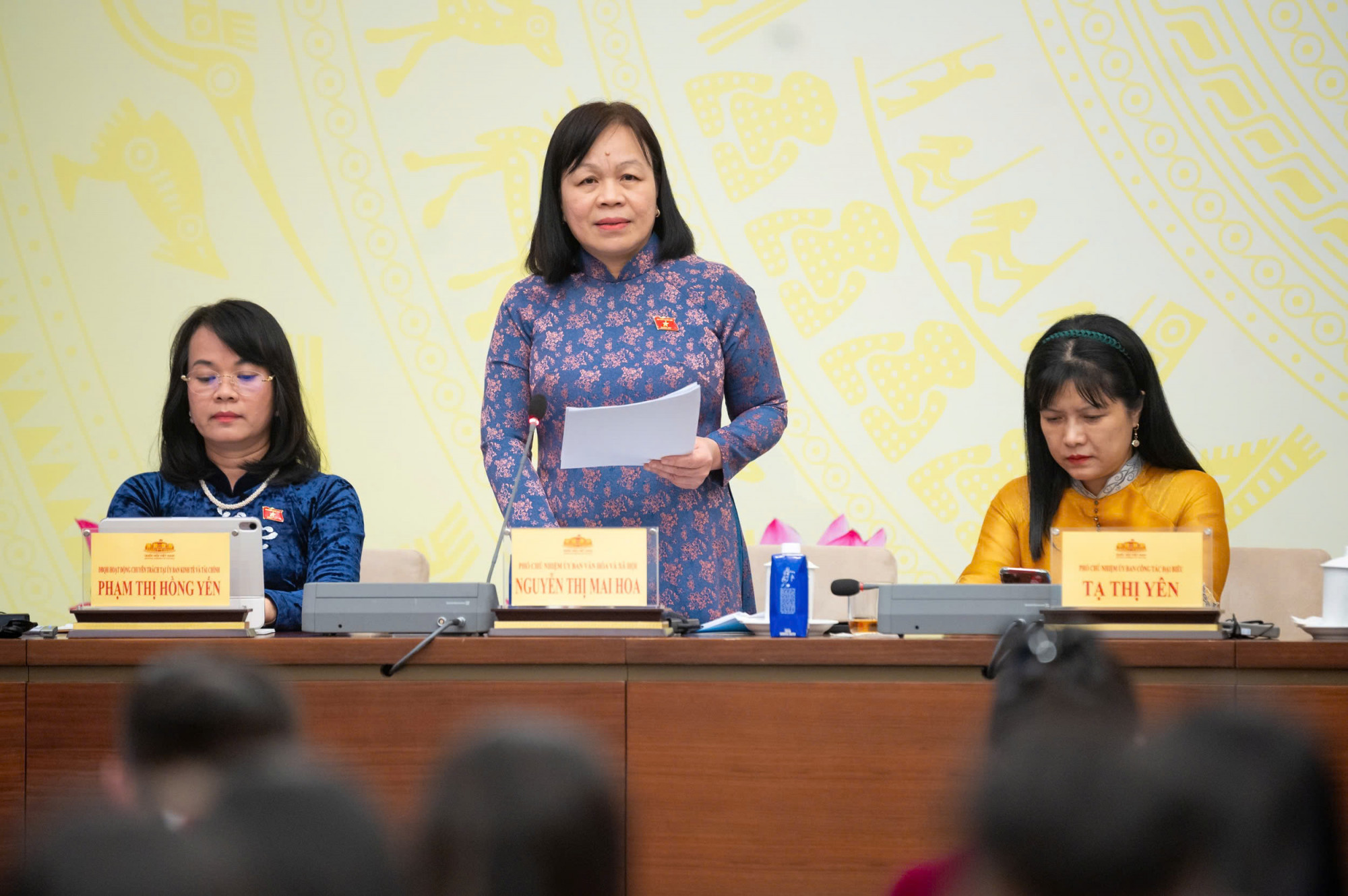 Phó Chủ nhiệm Ủy ban Văn hóa và Xã hội Nguyễn Thị Mai Hoa - ảnh: P.T,