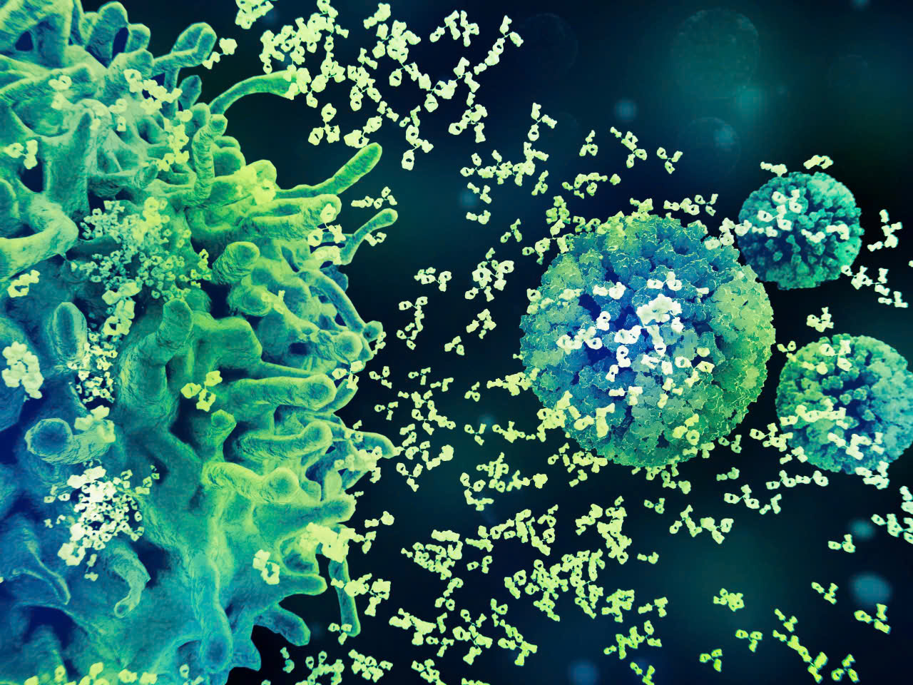 Vi rút HPV - Ảnh: Science Visuals