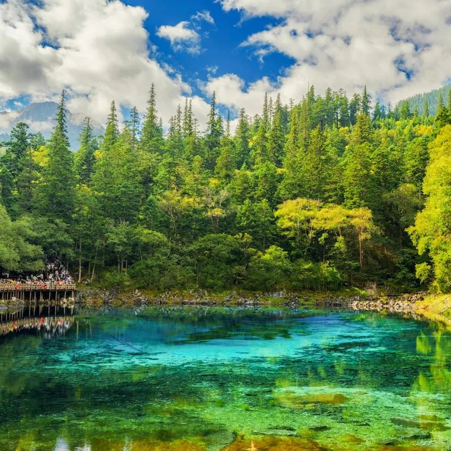 Vườn quốc gia Cửu Trại Câu, tỉnh Tứ Xuyên. Đây là một bức tranh sống động, thể hiện mọi sắc thái trong bảng màu của thiên nhiên. Thung lũng hình chữ Y của Cửu Trại Câu chia thành 3 khu vực: thung lũng Rize biến đổi màu sắc vào mùa xuân và mùa thu, thung lũng Zechawa thì thanh bình với những đỉnh núi cao chót vót và những hồ nước tĩnh lặng, còn thung lũng Shuzheng có khoảng 40 hồ nước màu ngọc lục bảo. Vườn quốc gia Hoàng Long gần đó có những bậc thang đá vôi nhiều màu sắc như: xanh lam, xanh lục, cam, vàng và trắng. Còn hồ Ngũ Sắc với những sắc màu sống động như siêu thực.