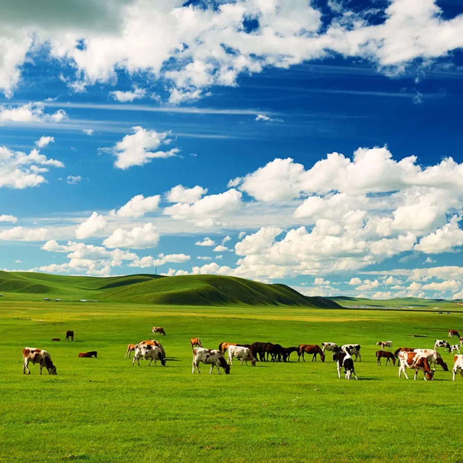 Thảo nguyên Hulunbuir, Nội Mông. Ở đây có vẻ đẹp hoang sơ của rừng, đồng cỏ và sông ngòi. Khu Ergun đẹp như tranh vẽ, rừng quốc gia Moerdaoga mang lại cảm giác như ở châu Âu, làng tuần lộc Aoluguya là nơi tiếp cận với động vật hoang dã. Bạn đừng quên nghỉ đêm trong túp lều Mông Cổ.