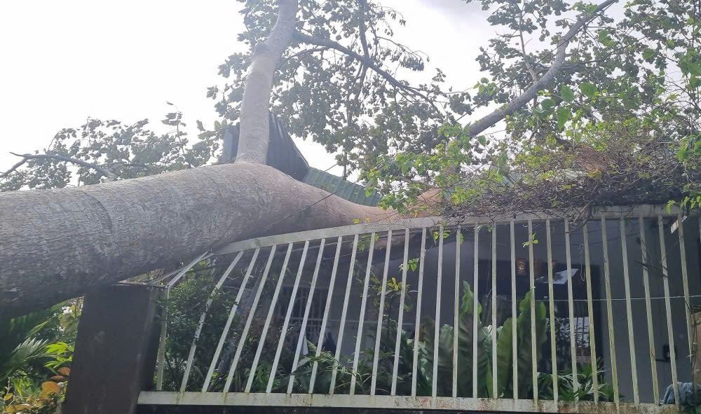 May mắn vụ việc không gây thiệt hại về người - Ảnh: T.T.