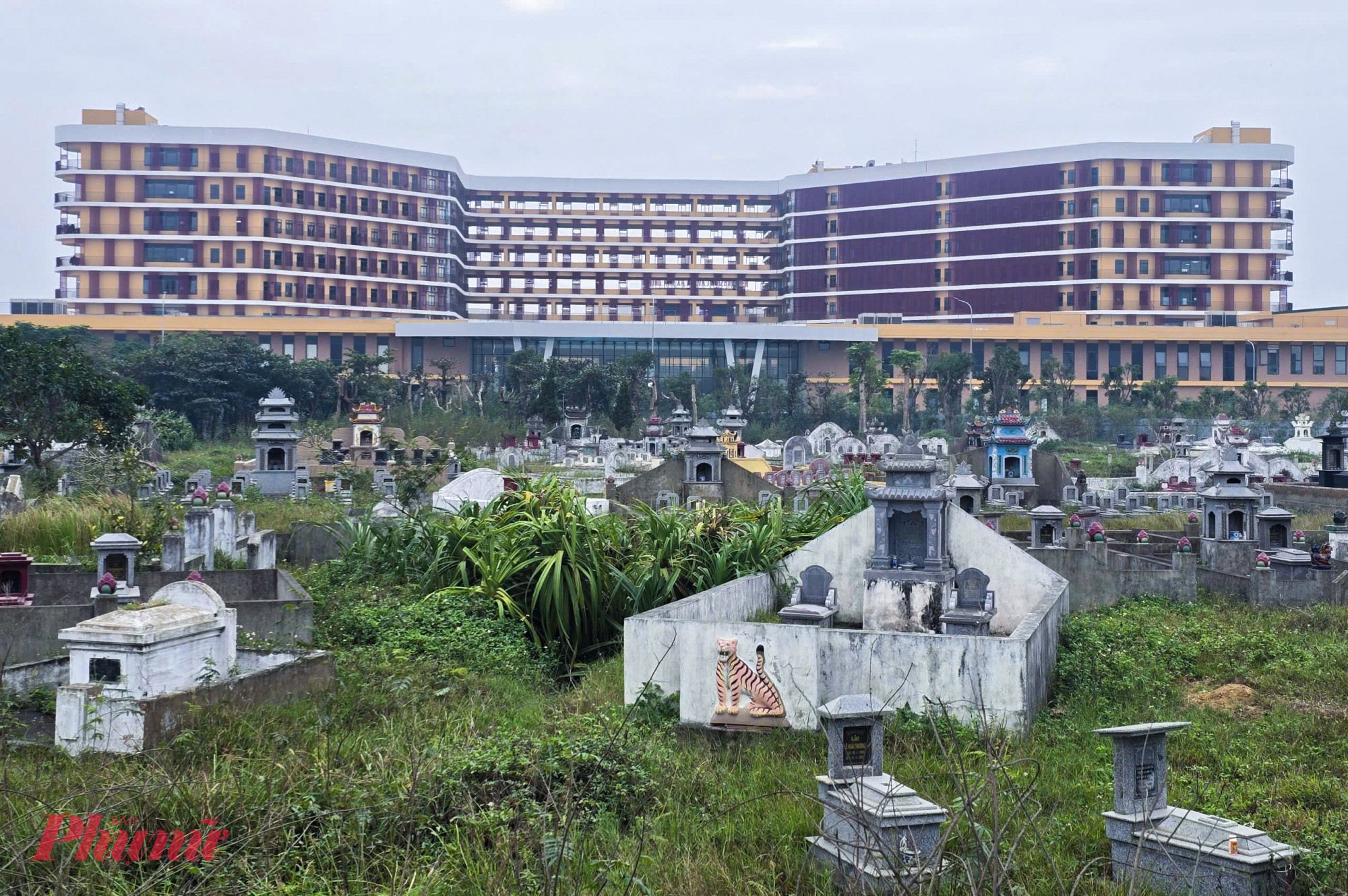 Tầm nhìn của bệnh nhân ung thư hướng thẳng ra khu nghĩa trang