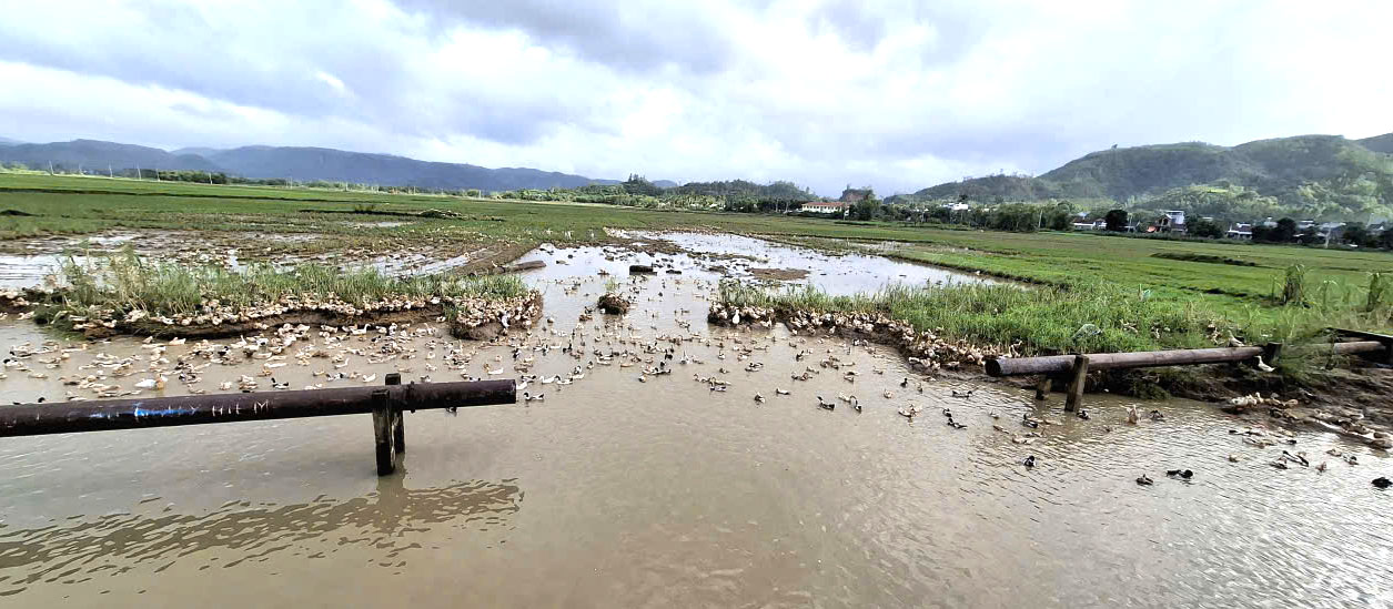 Hệ thống thủy nông hồ Phú Xuân thuộc Công ty TNHH MTV thủy nông Đồng Cam bị hư hại- Ảnh: Mạnh Hoài Nam