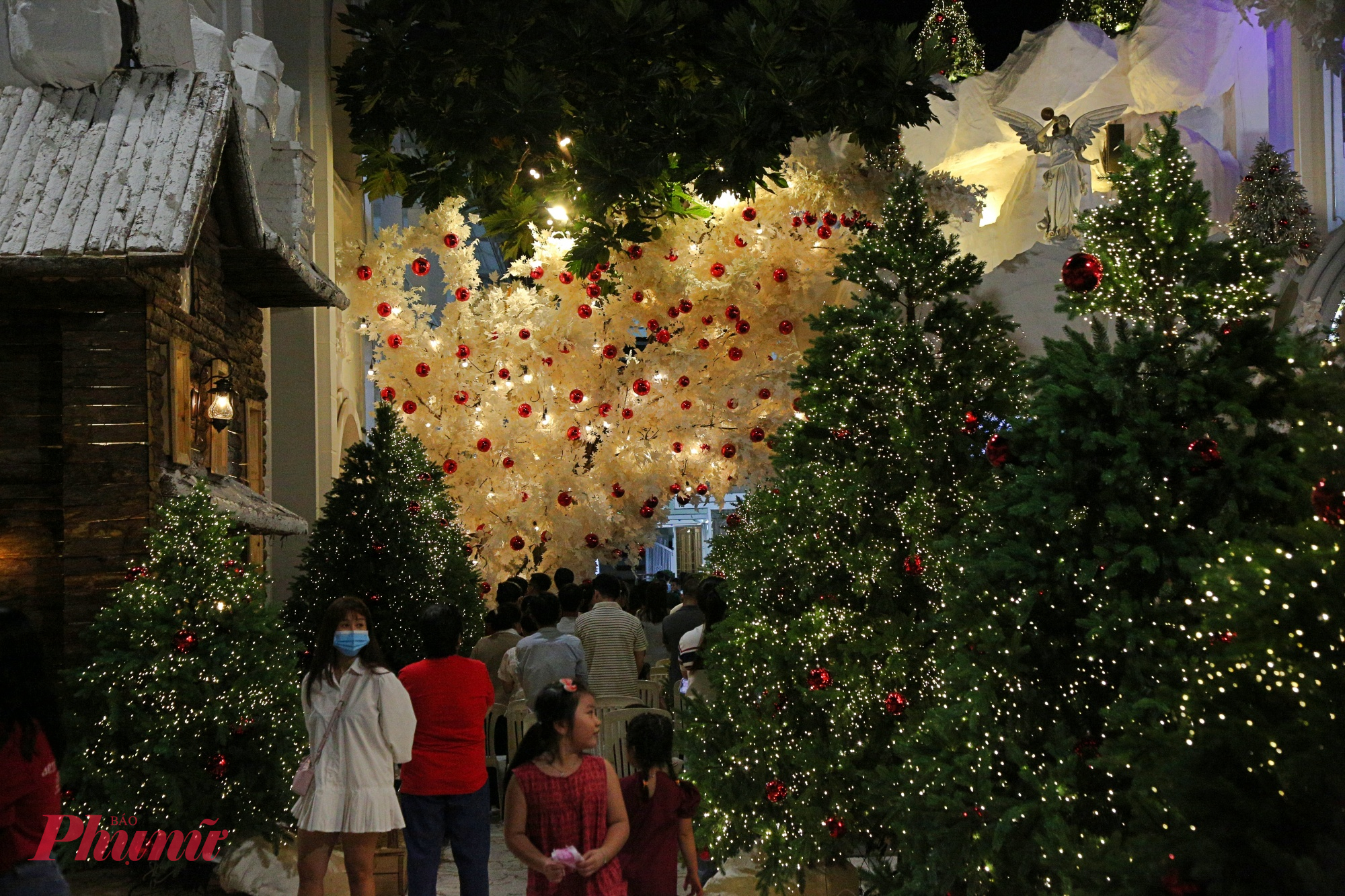 Bên trong sân Nhà thờ Hợp An được trang trí như khu vườn tuyết với nhiều cây thông. 