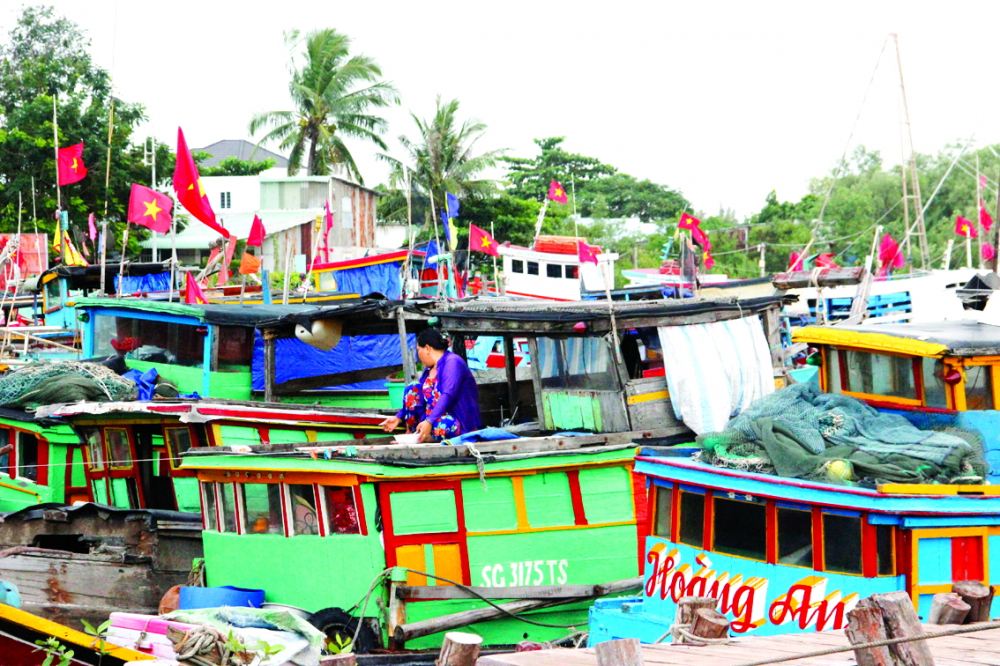 TPHCM: Nhiều giải pháp ngăn khai thác hải sản bất hợp pháp Tàu thuyền của ngư dân TPHCM neo đậu ở cảng Cần Giờ. Năm 2025, mọi chủ tàu cá ở TPHCM đều tuân thủ nghiêm các quy định về giám sát hành trình trên biển