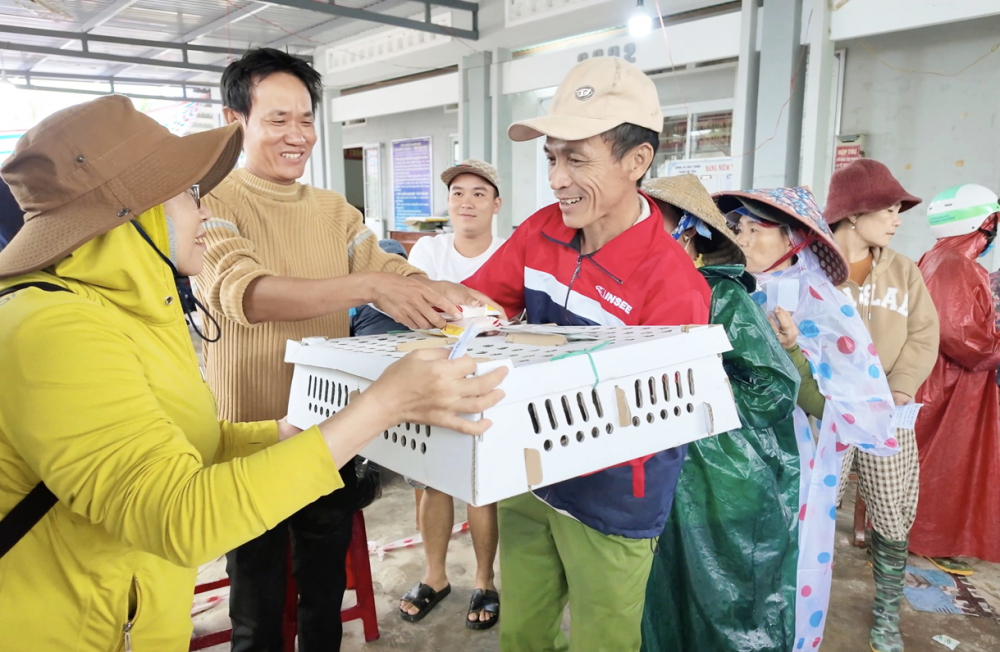 Người dân xã Hòa Thịnh, tỉnh Đắk Lắk nhận gà giống của các nhà hảo tâm ở TPHCM - ẢNH: NGUYỄN KHANG