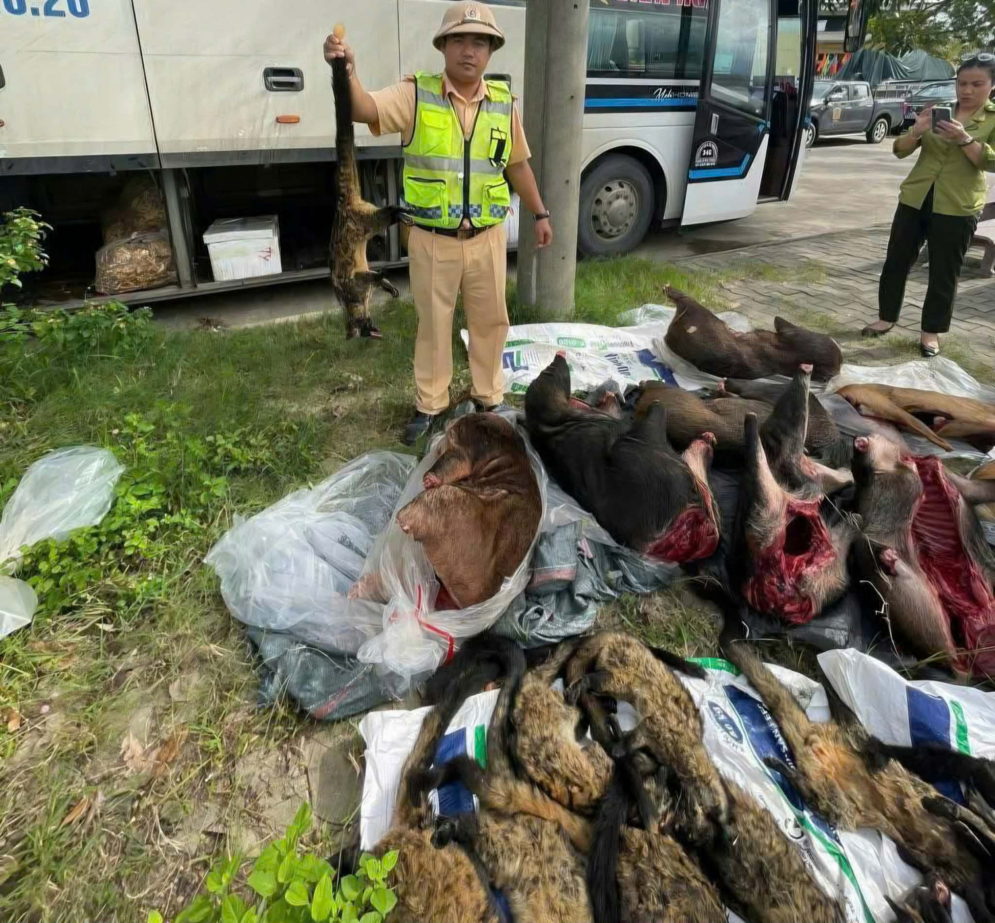 Số lượng xác đông lạnh nghi là động vật quý hiếm được phát hiện tại thời điểm CSGT kiểm tra xe_Ảnh: CSGT Đà Nẵng.