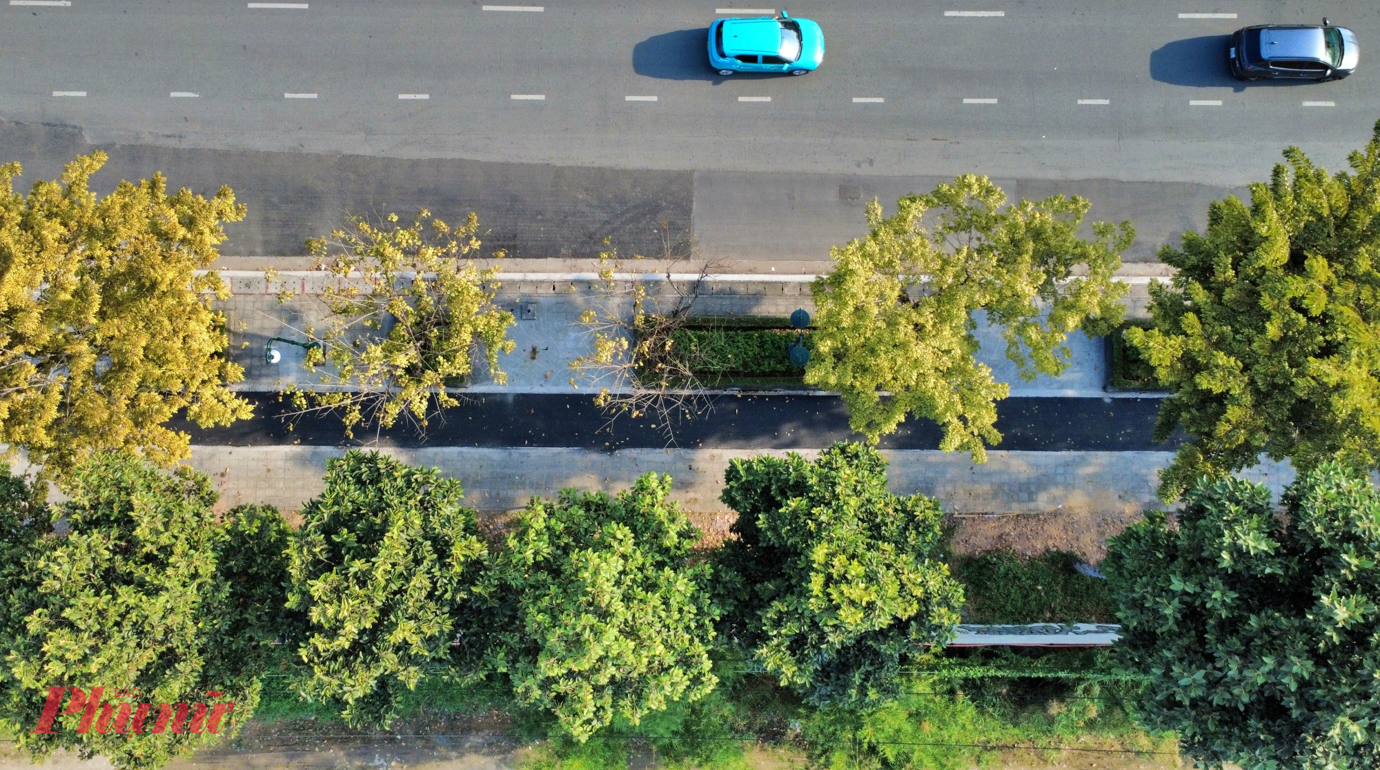 Làn xe đạp được thiết kế rộng 2m, cho phép xe di chuyển với vận tốc tối đa 20km/h; riêng đoạn qua cầu có bề rộng 1,5m.