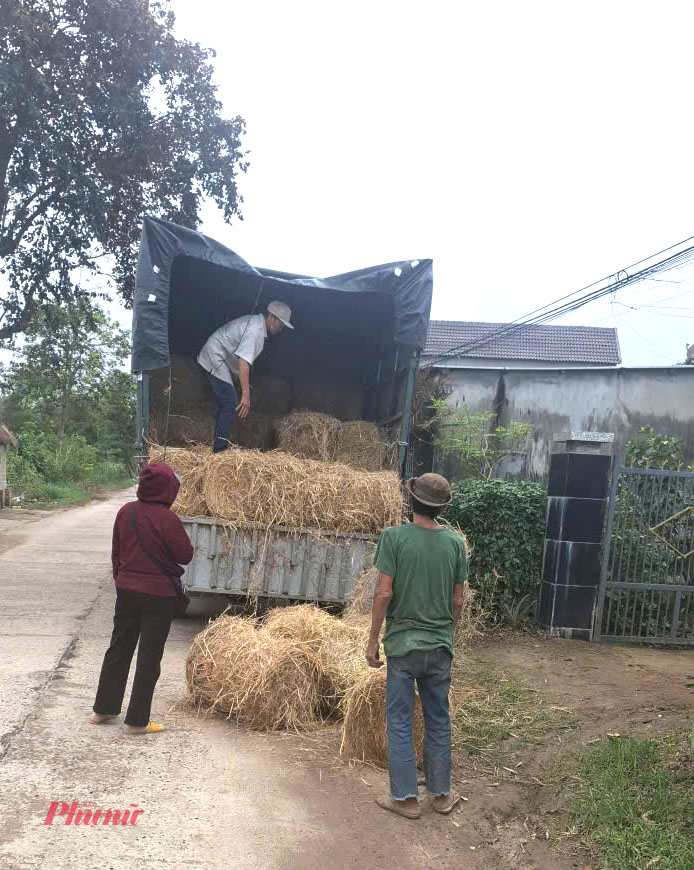 Vợ chồng ông Lê Văn Lo- ở xã Xuân Phước (tỉnh Đắk Lắk) đang mua rơm khô từ xe tải bán dạo-Ảnh: Mạnh Hoài Nam