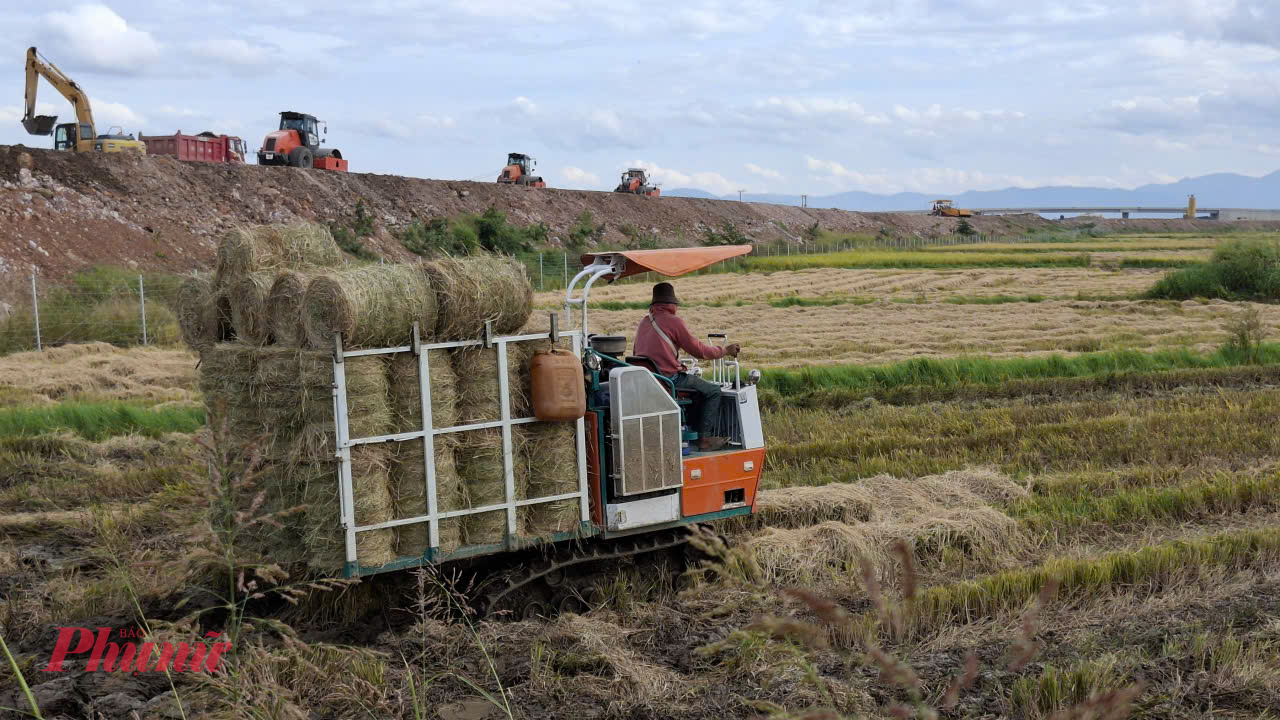 Thu hoạch lúa nông dân thuê máy cuộn rơm khô trữ làm thức ăn cho bò- Ảnh: Mạnh Hoài Nam