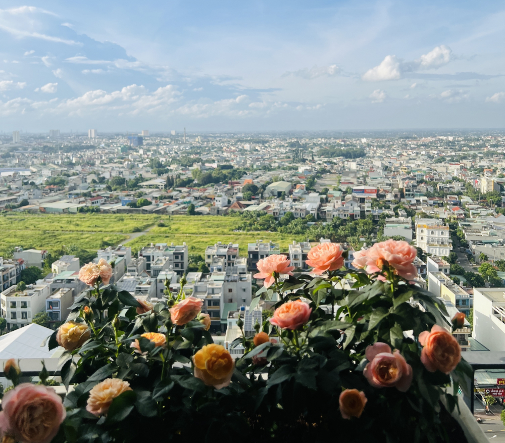 Từ ban công căn hộ mới, không gian mở ra thoáng đãng, ngập ánh sáng, mang lại cảm giác nhẹ nhõm và thêm động lực để gia đình hướng tới những kế hoạch dài hơi hơn trong tương lai, như một ngôi nhà đất.. Ảnh: NVCC