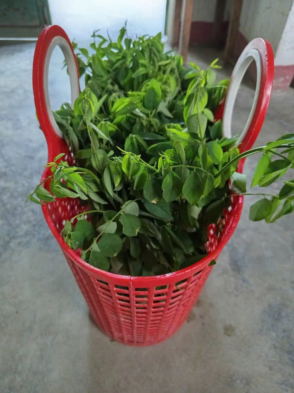 Giỏ xách đi chợ lâu năm của mẹ