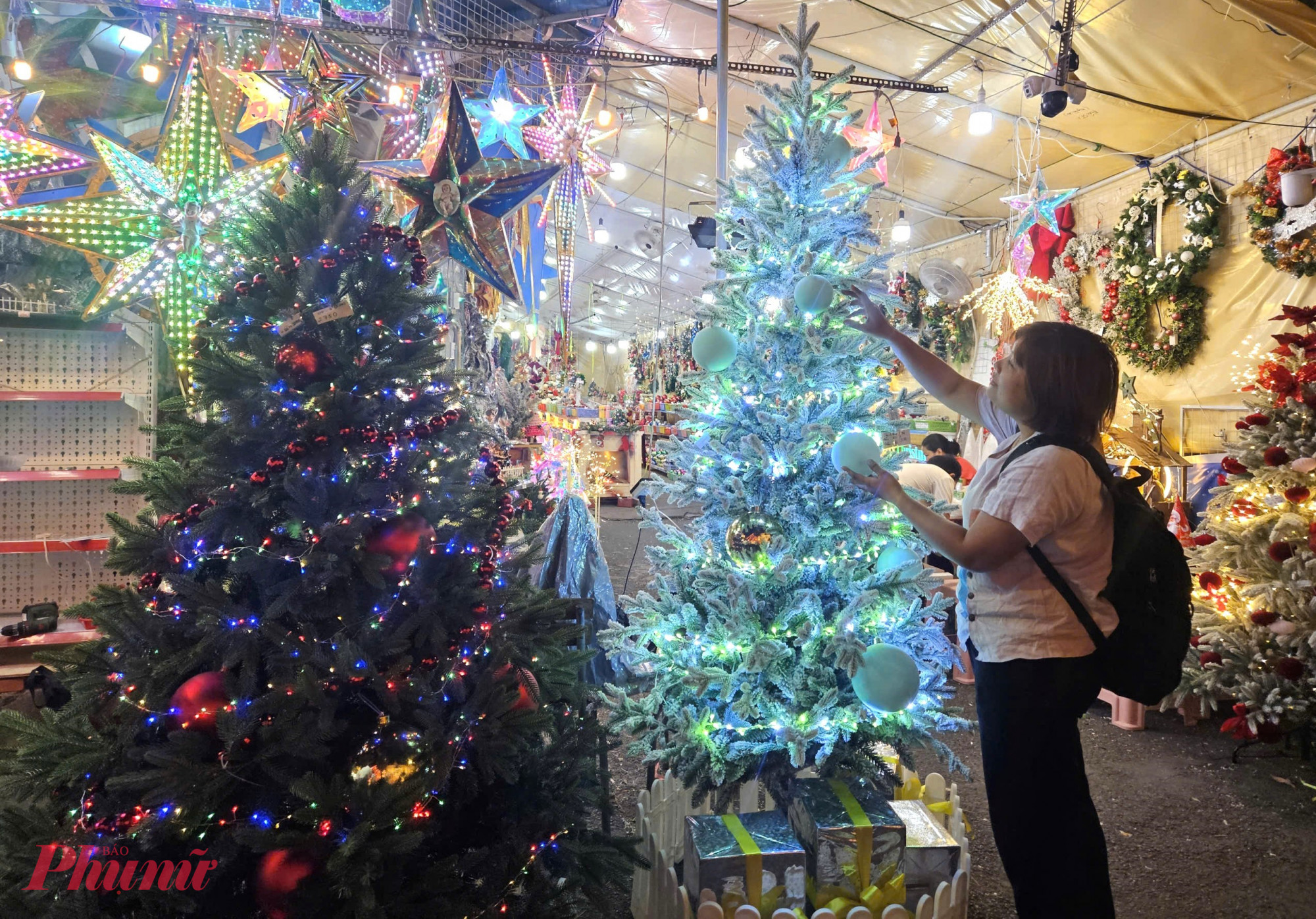 Mặt hàng cây thông Noel vẫn chiếm tỷ trọng lớn trong doanh thu, nhưng sức mua giảm rõ rệt. Cây thông loại mini có giá từ 200.000 đồng/cây. Các mẫu cây lớn, kích thước phổ biến, có giá tầm trung khoảng 2,4 triệu đồng/cây (chưa có trang trí). 