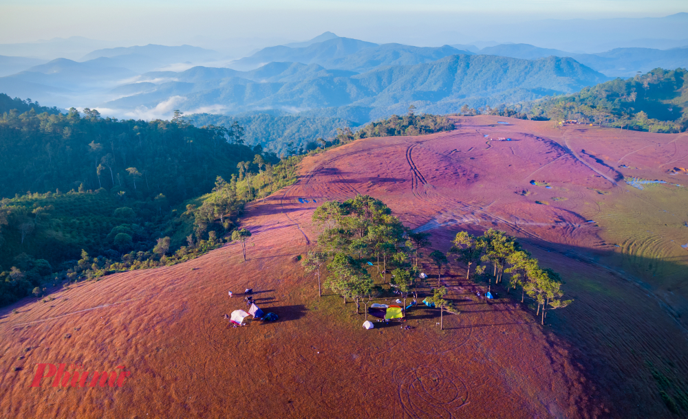 Nhiều du khách lựa chọn cắm trại Masara để được chìm đắm hoàn toàn vào không gian thuần khiết của đồi cỏ vào sáng sớm. Ảnh: Quý Saigon