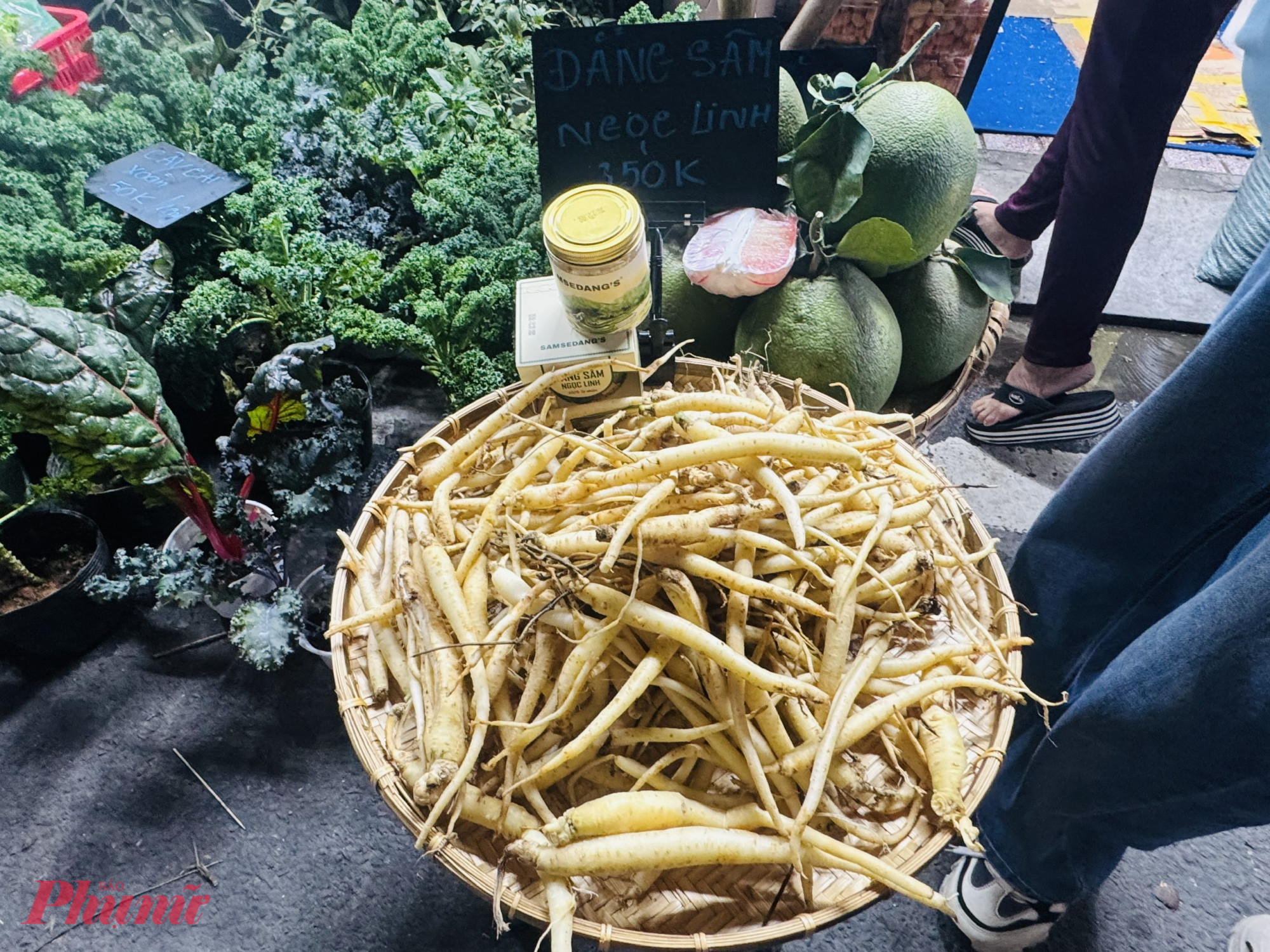 Đảng sâm Ngọc Linh cũng hút khách, có giá 350.000 đồng/kg. Loại này dùng để nấu canh, ngâm với mật ong uống với công dụng bồi bổ sức khoẻ