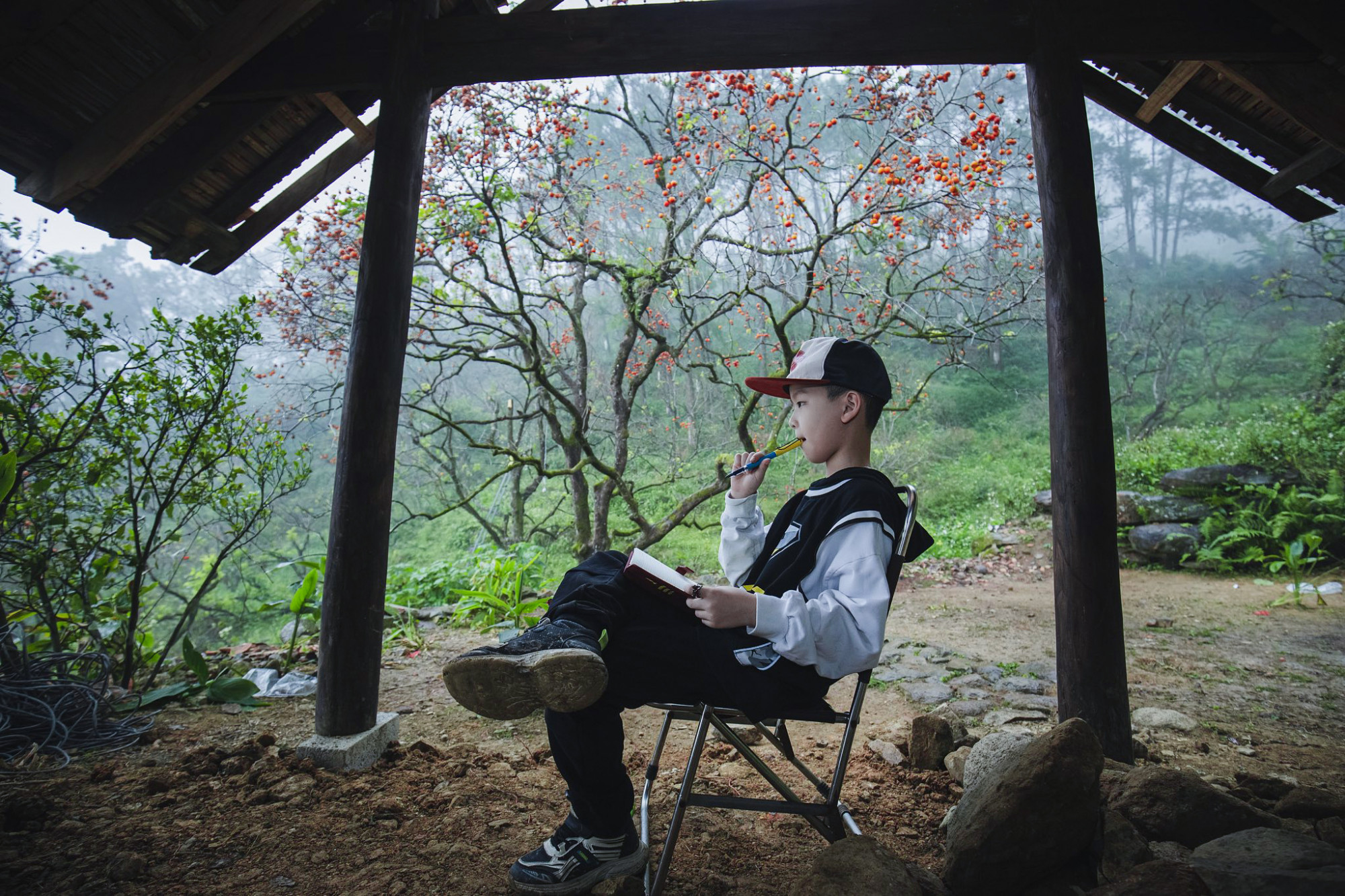 Khung cảnh nên thơ ở vườn hồng cổ Đại Huệ - Ảnh: Phan Ngọc