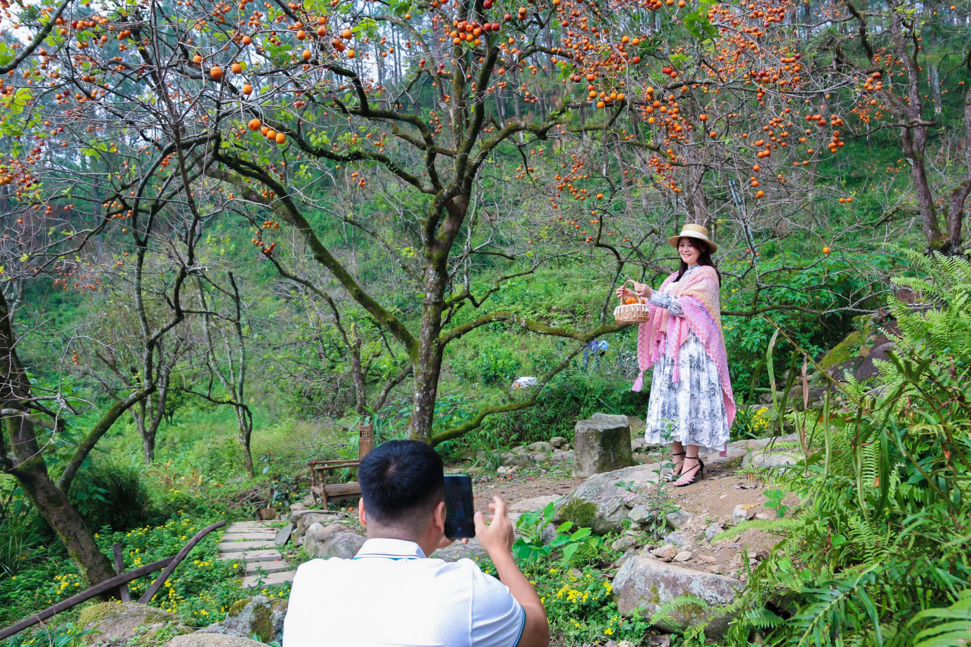 Du khách kéo nhau về tham quan, chụp ảnh khi những vườn hồng trút bỏ hết lá - Ảnh: Khánh Trung