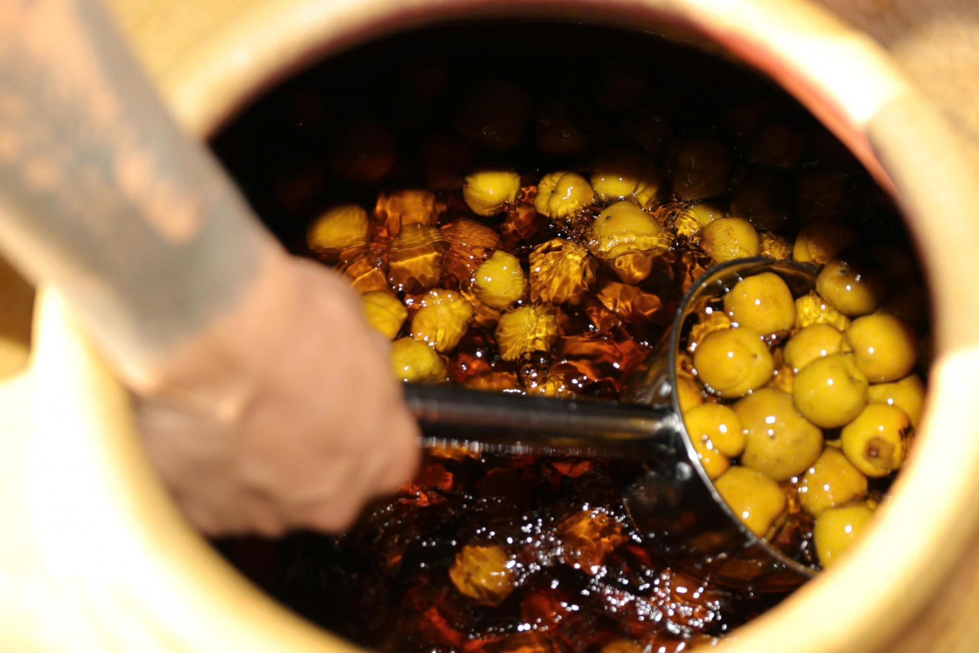 Ngoài bán quả, làm du lịch, người dân xã Đại Huệ còn thu hoạch hồng để ngâm rượu - Ảnh: Phan Ngọc