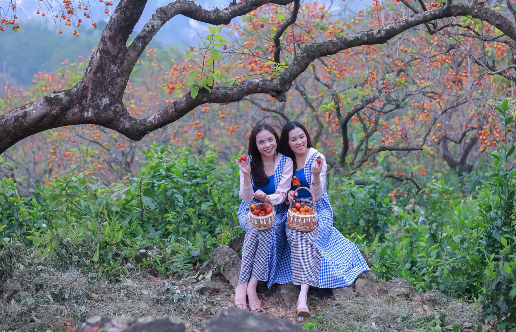 Du khách thích thú ghi lại những khoảng khắc đẹp trong vườn hồng cổ - Ảnh: Khánh Trung