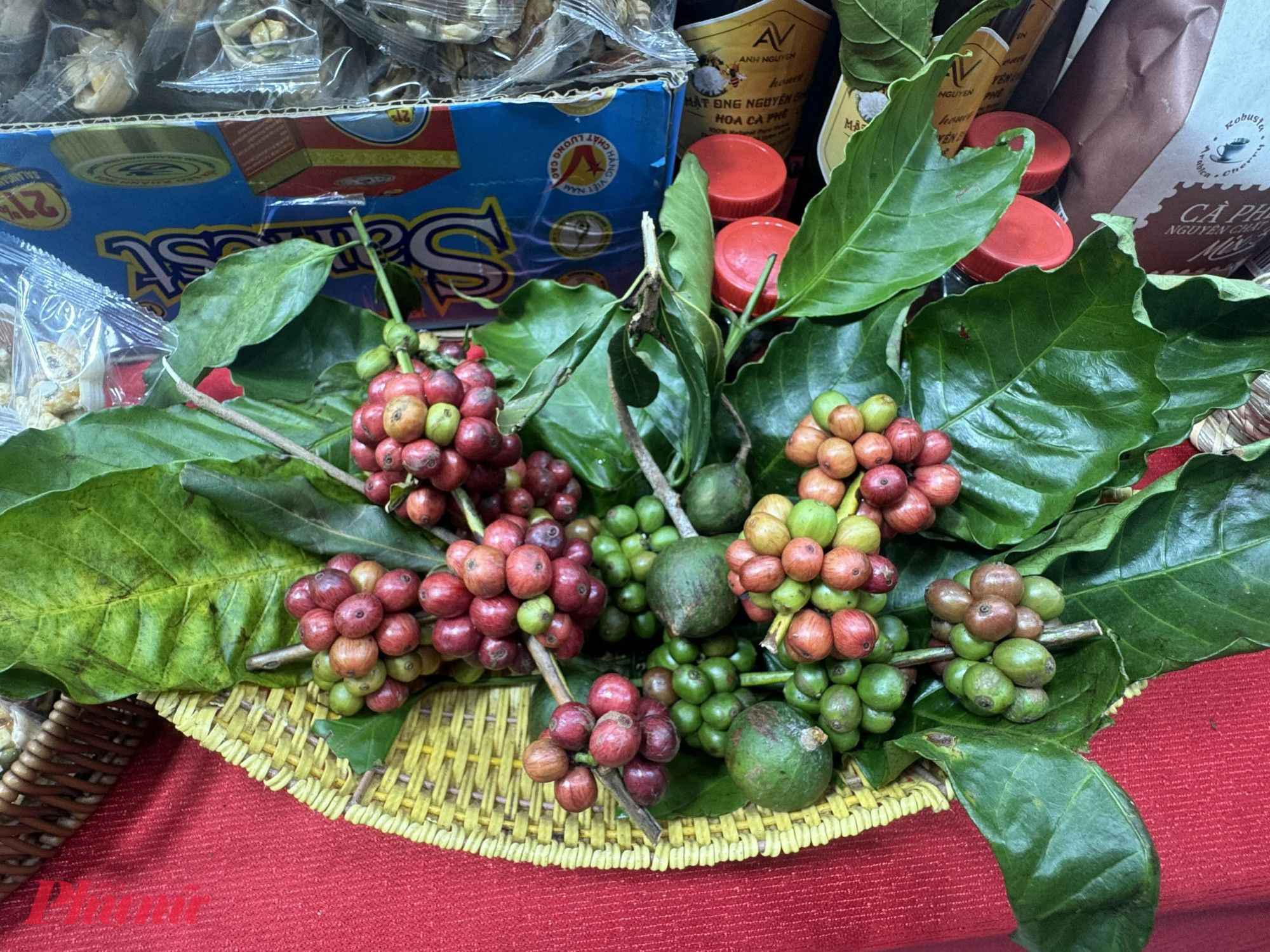 Gian hàng bán cà phê, ca cao cũng chưng luôn trái tươi để khách hình dung rõ hơ về sản phẩm