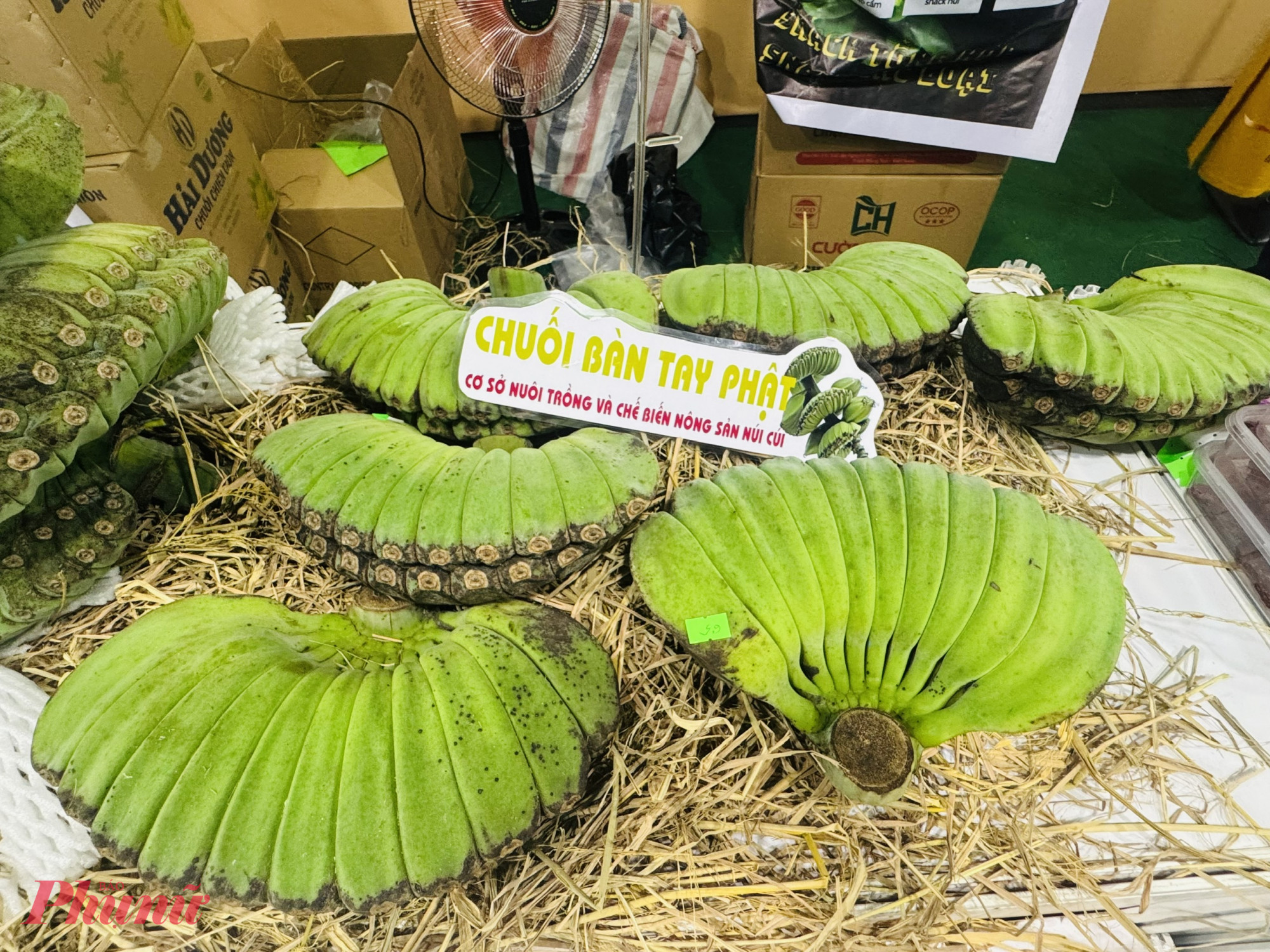 Chuối này có hình dáng như bàn tay Phật, có giá 65.000 đồng/nải. Khách mua về cúng 1 thời gian thì chuối sẽ chín ngã vàng