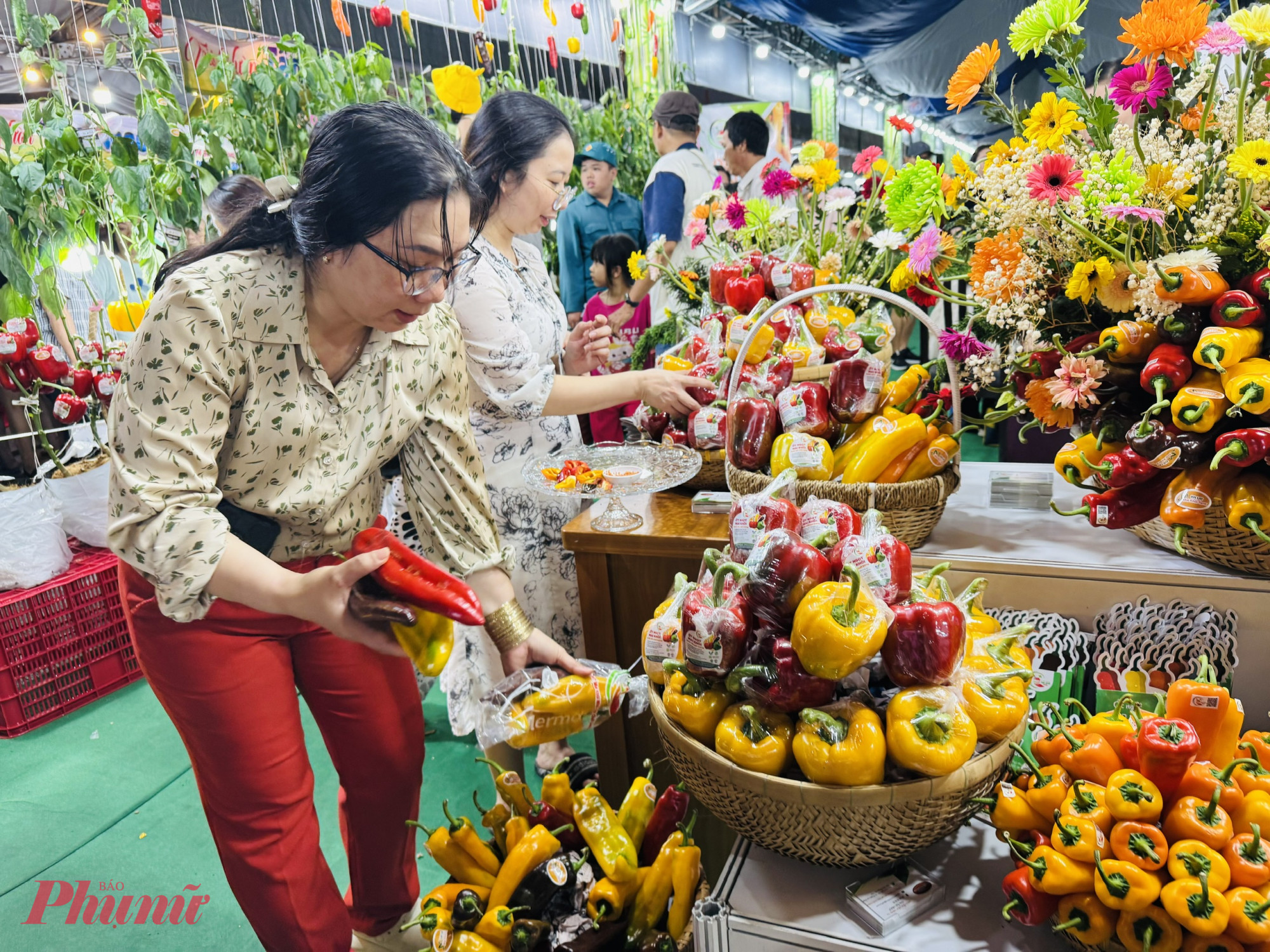 Nhờ được trải nghiệm ăn ớt, uống nước ép ớt tại chỗ, nhiều khách thấy ngon nên mua đem về. Giá là 40.000 đồng/3 trái, bất kể loại ớt tròn hay dài