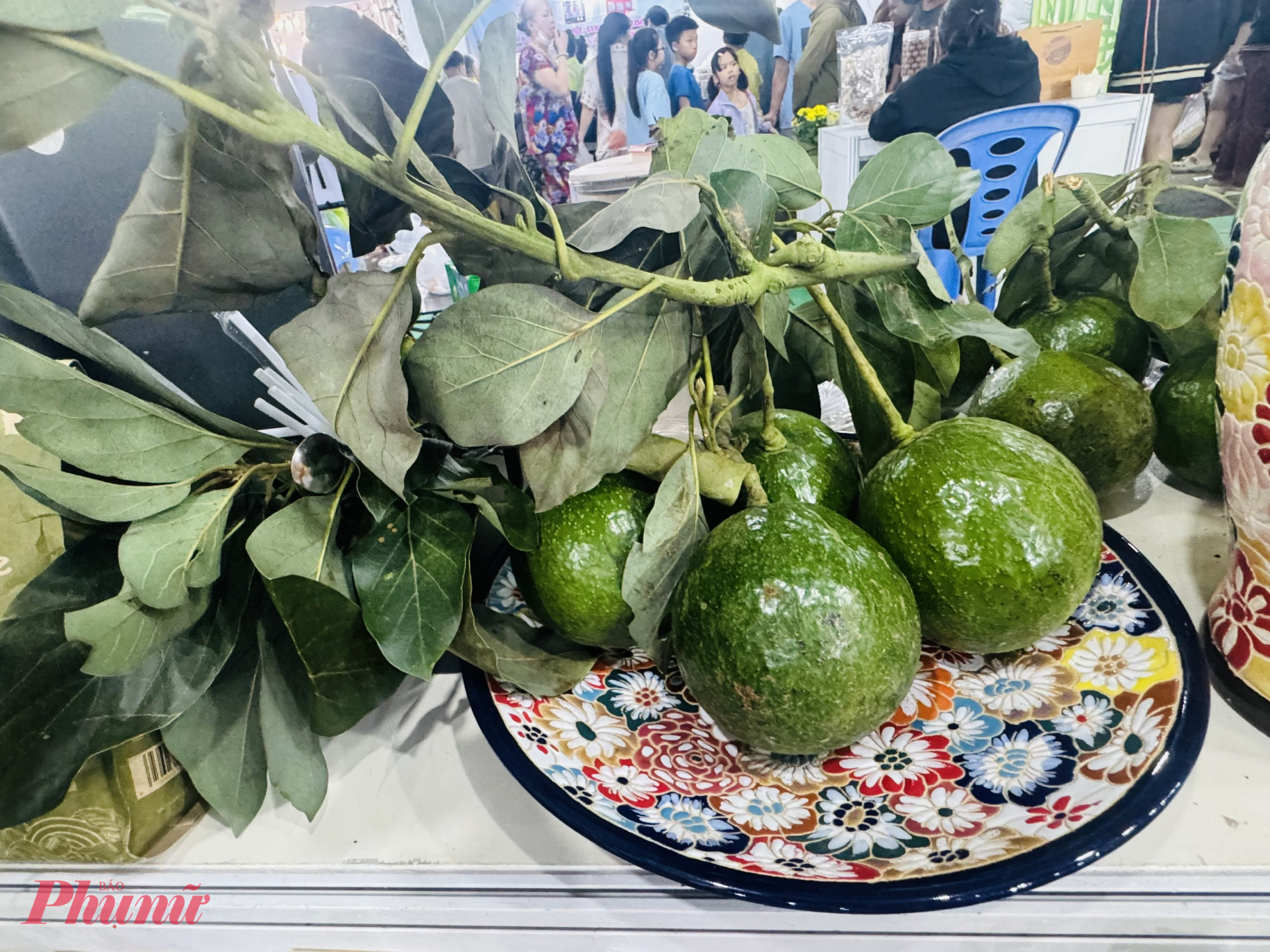 Bơ chỉ có giá 120.000 đồng/kg nhưng gian hàng bán luôn cả nhánh