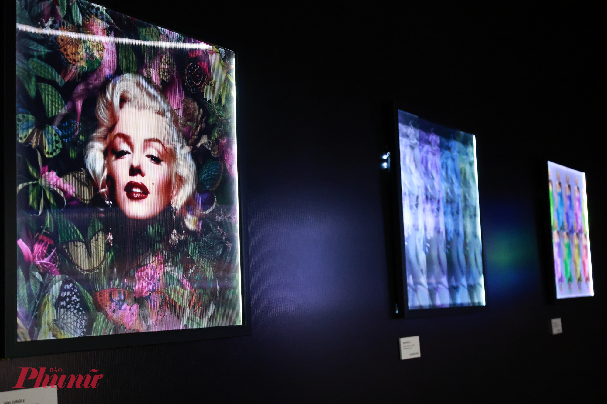 Các tranh nghệ thuật điện tử có thể thay đổi hình ảnh, hình dáng theo từng chuyển động của người thưởng thức