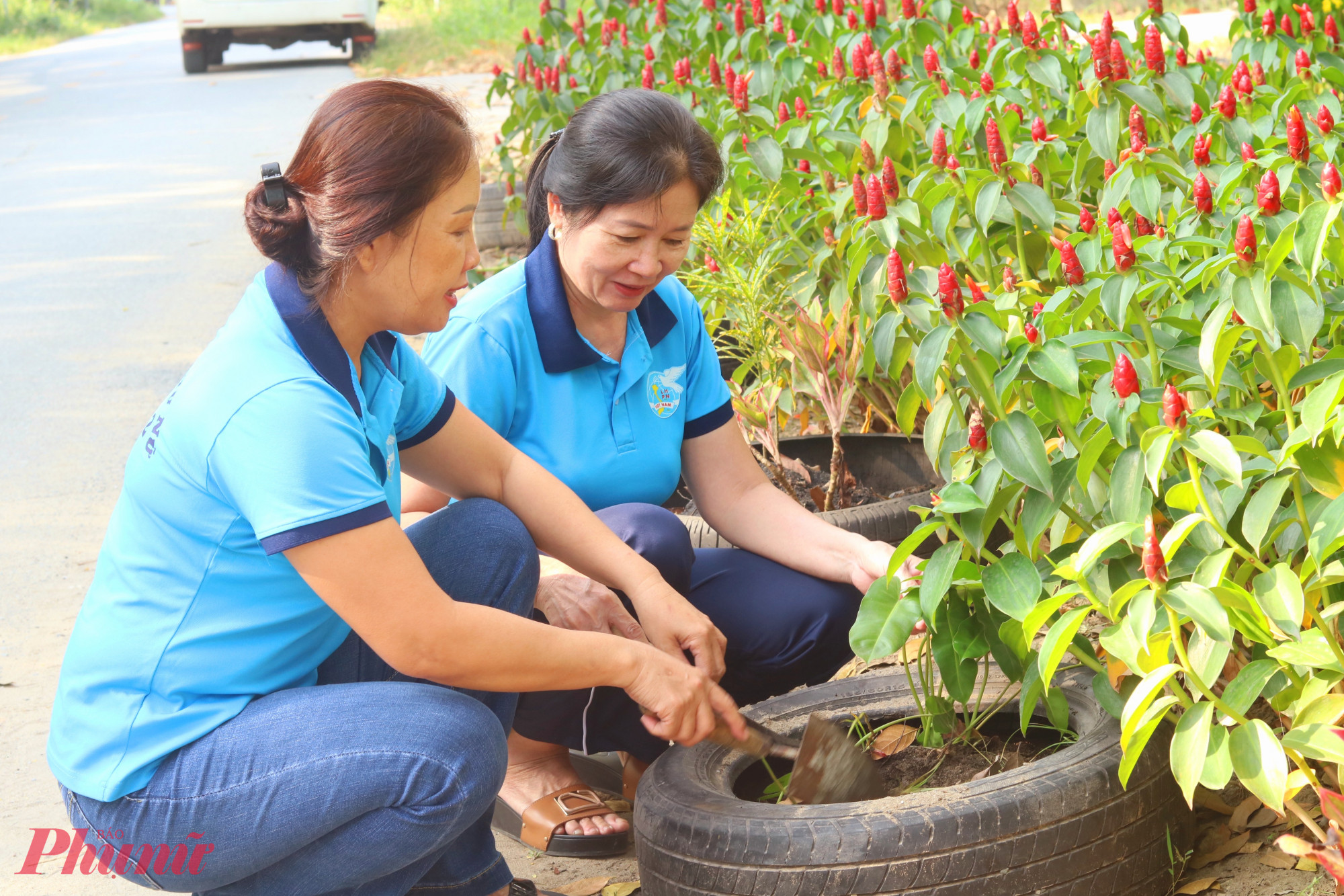 Các dì, các chị cùng trồng cây trong những vỏ xe cũ - Ảnh: Mẫn Nhi