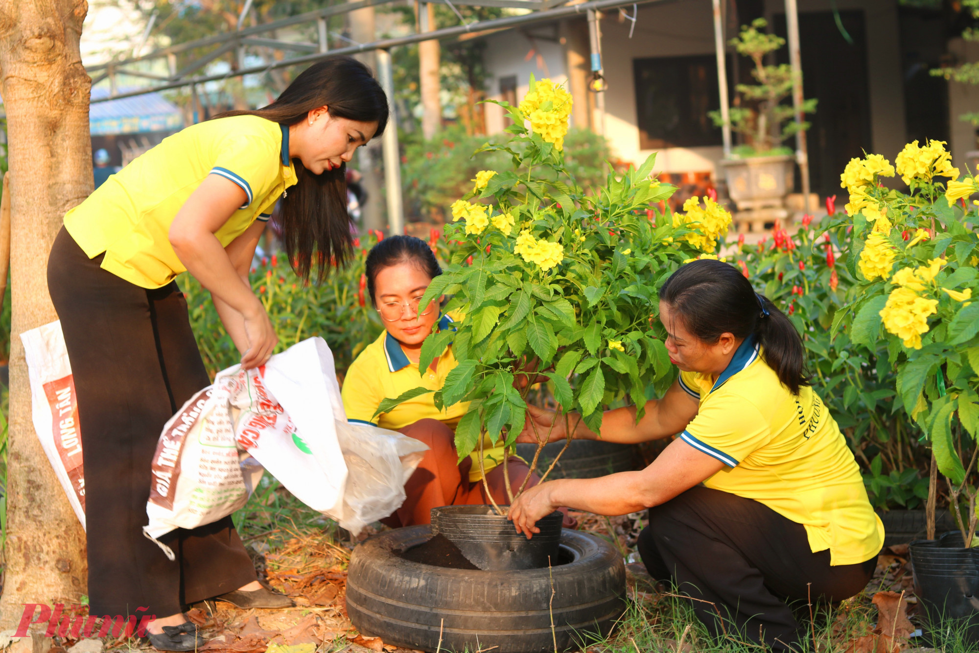 Bà Trần Ngọc Thu Sương – Ủy viên Ban thường vụ Hội LHPN phường Thới An (bìa trái) cùng các chị em ở khu phố 50 trồng cây hoa muồng hoàng yến – Ảnh: Mẫn Nhi