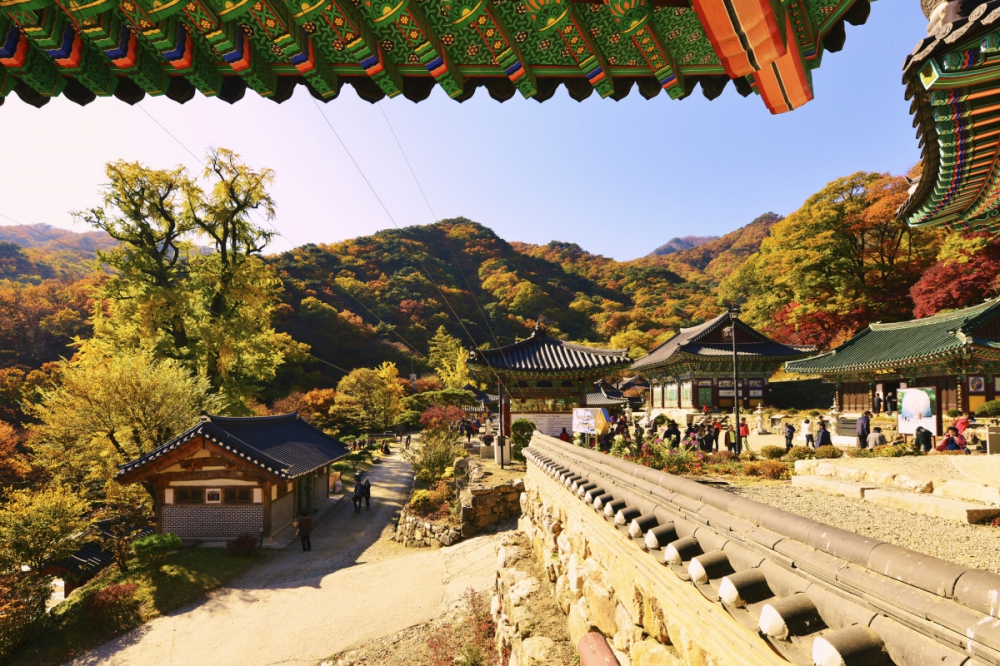 ​Yangpyeong, Seoul (Hàn Quốc): Yangpyeong, vùng ven Seoul (Hàn Quốc), là điểm nghỉ dưỡng yên bình bên sông, hấp dẫn du khách yêu ẩm thực. Chợ truyền thống Yangsuri cung cấp thực phẩm tươi theo mùa, thích hợp cho các bữa nướng samgyeopsal, hanwoo và bữa cơm gia đình ấm cúng tại nhà nghỉ.