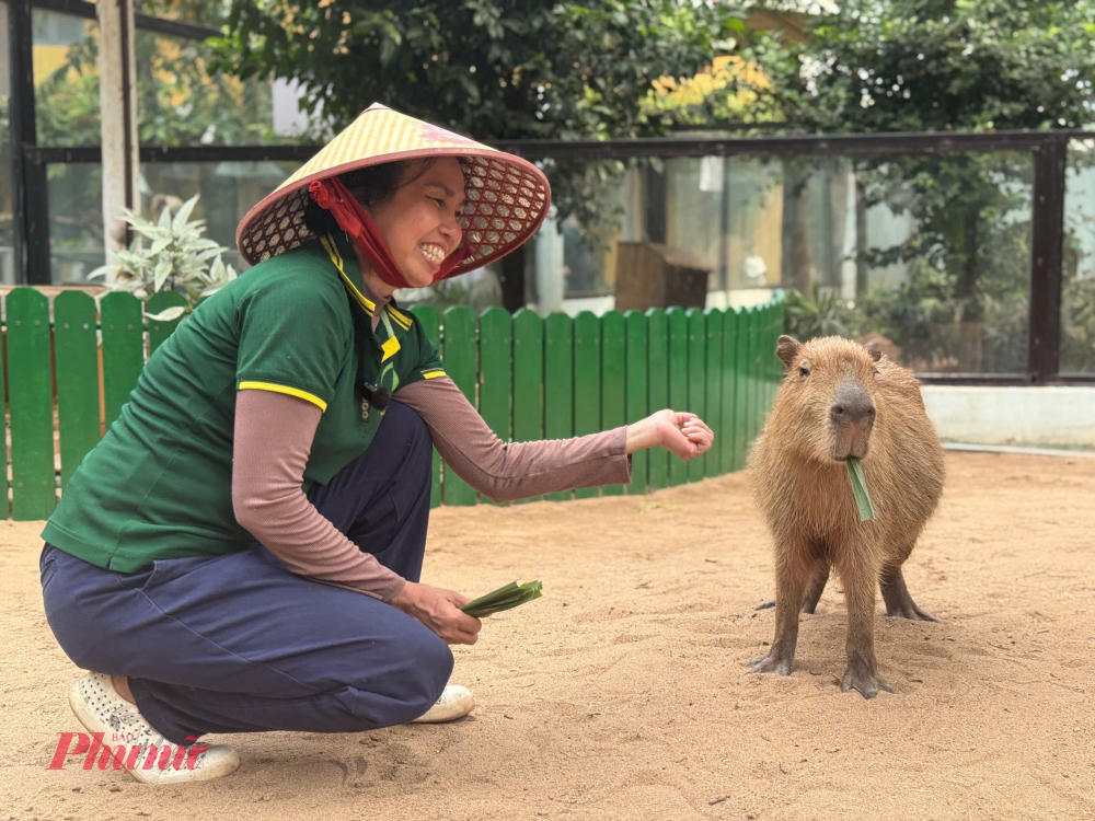 Thảo Cầm Viên Sài Gòn đưa nhiều hoạt động vui chơi, gia tăng trải nghiệm cho khách, như tour đêm ngắm động vật được tổ chức vào cuối tuần. Ảnh: Quốc Thái