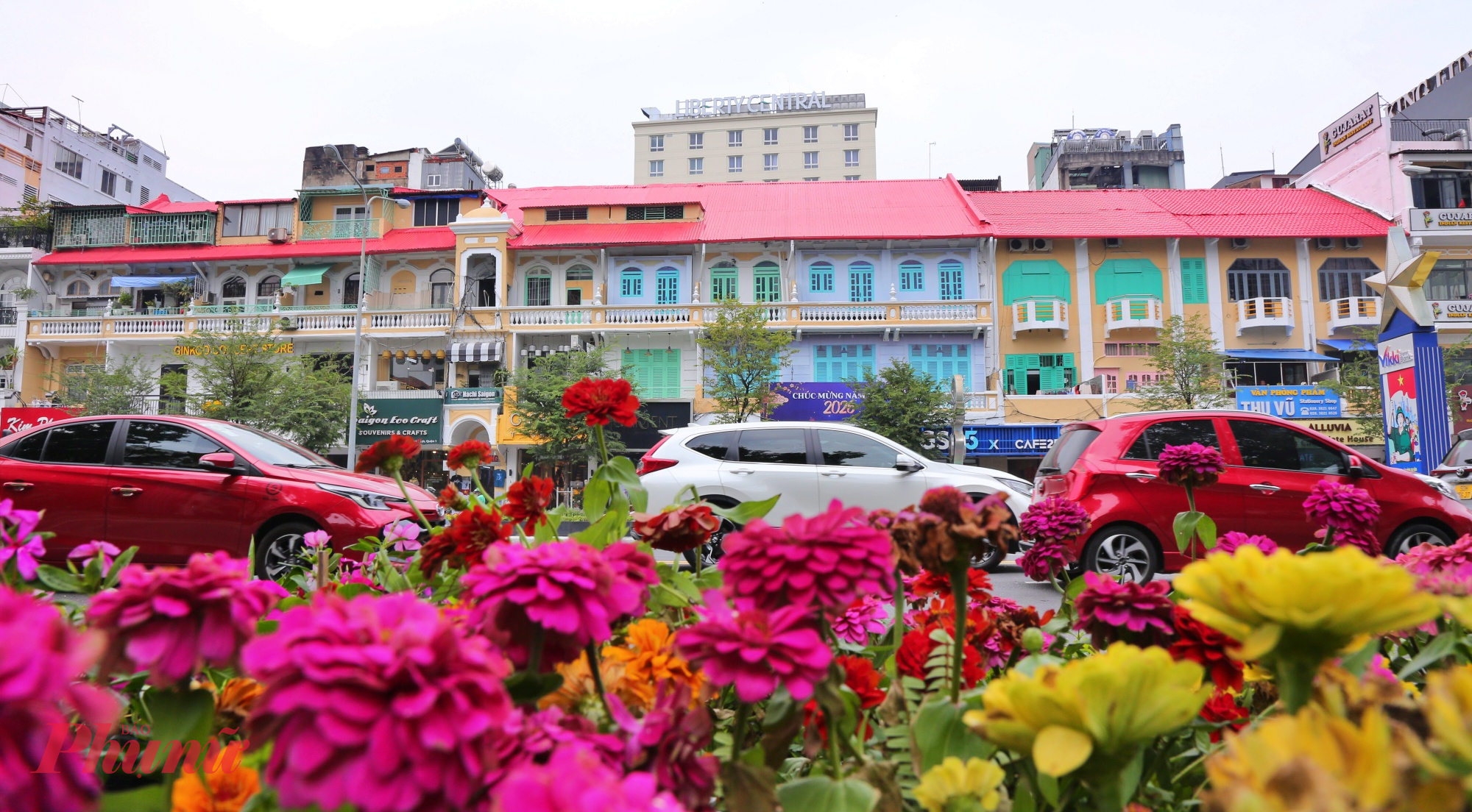 Dải phân cách hai bên đường được trồng hoa mới để đồng bộ với dãy nhà vừa được chỉnh trang.