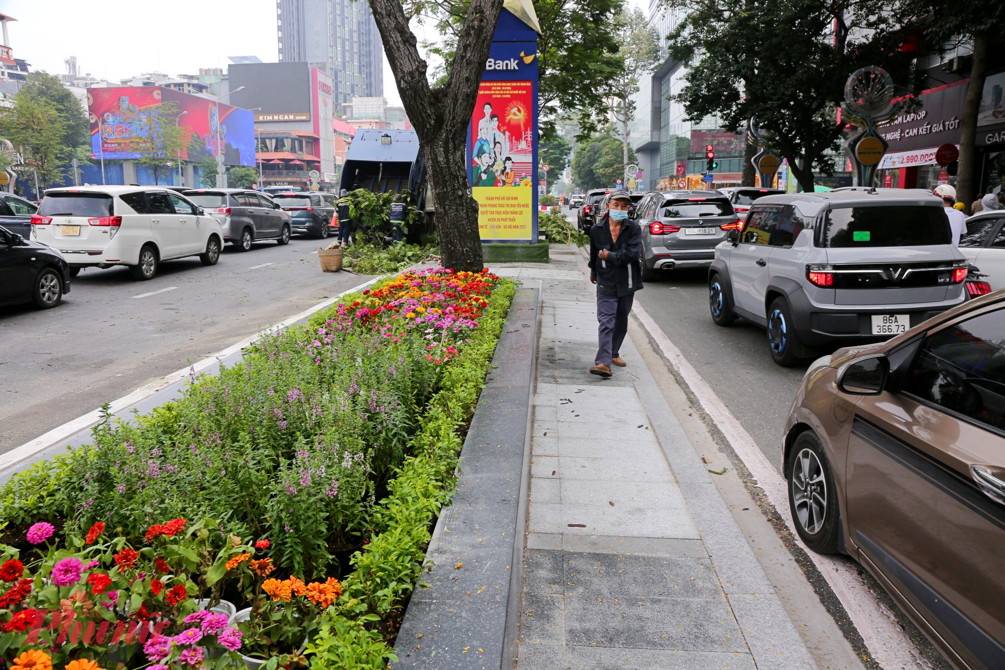 Cây xanh, đặc biệt là cây bụi và cây lá màu, được bổ sung nhằm tăng tính sinh động cho không gian phố đi bộ, thương mại.