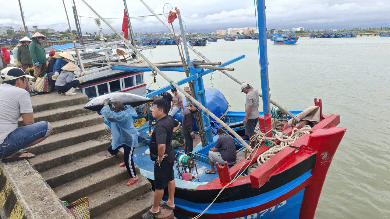 Tàu cá mang số hiệu PY90297TS do ông Nguyễn Văn Long làm thuyền trưởng cập cảng Đông Tác, phường Phú Yên, tỉnh Đắk Lắk-Ảnh: Mạnh Hoài Nam